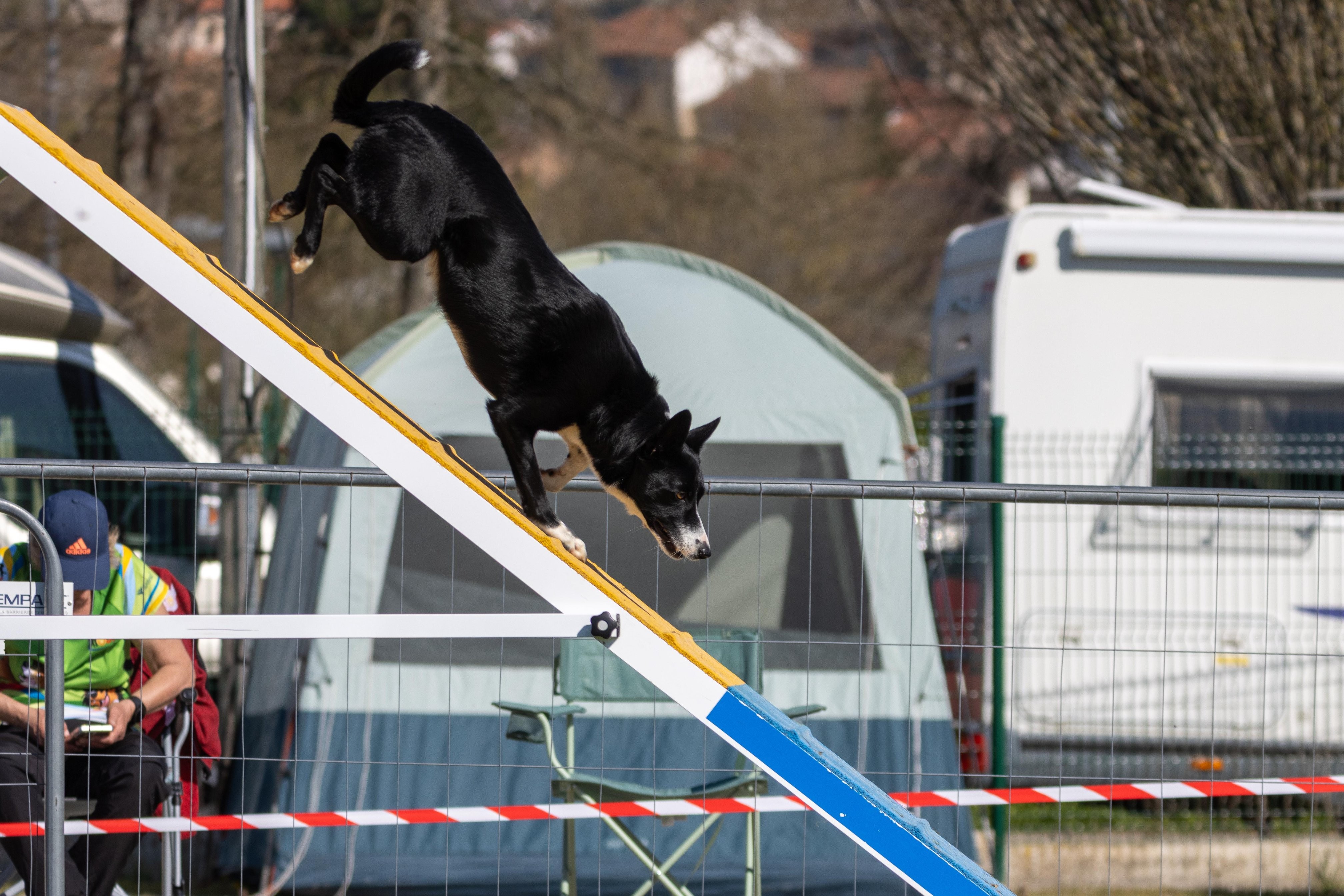 Agility grade 1 0262