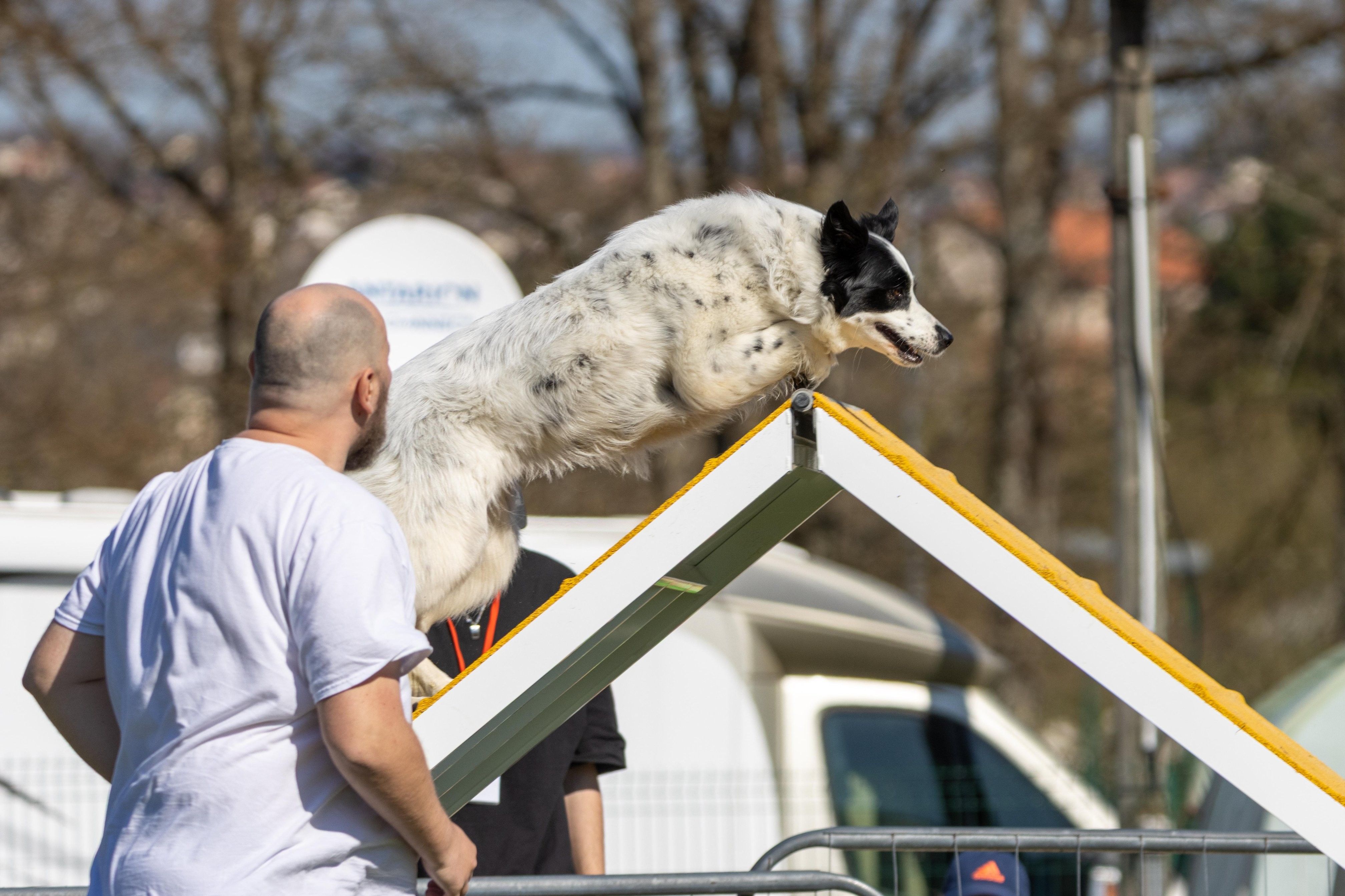 Agility grade 1 0270