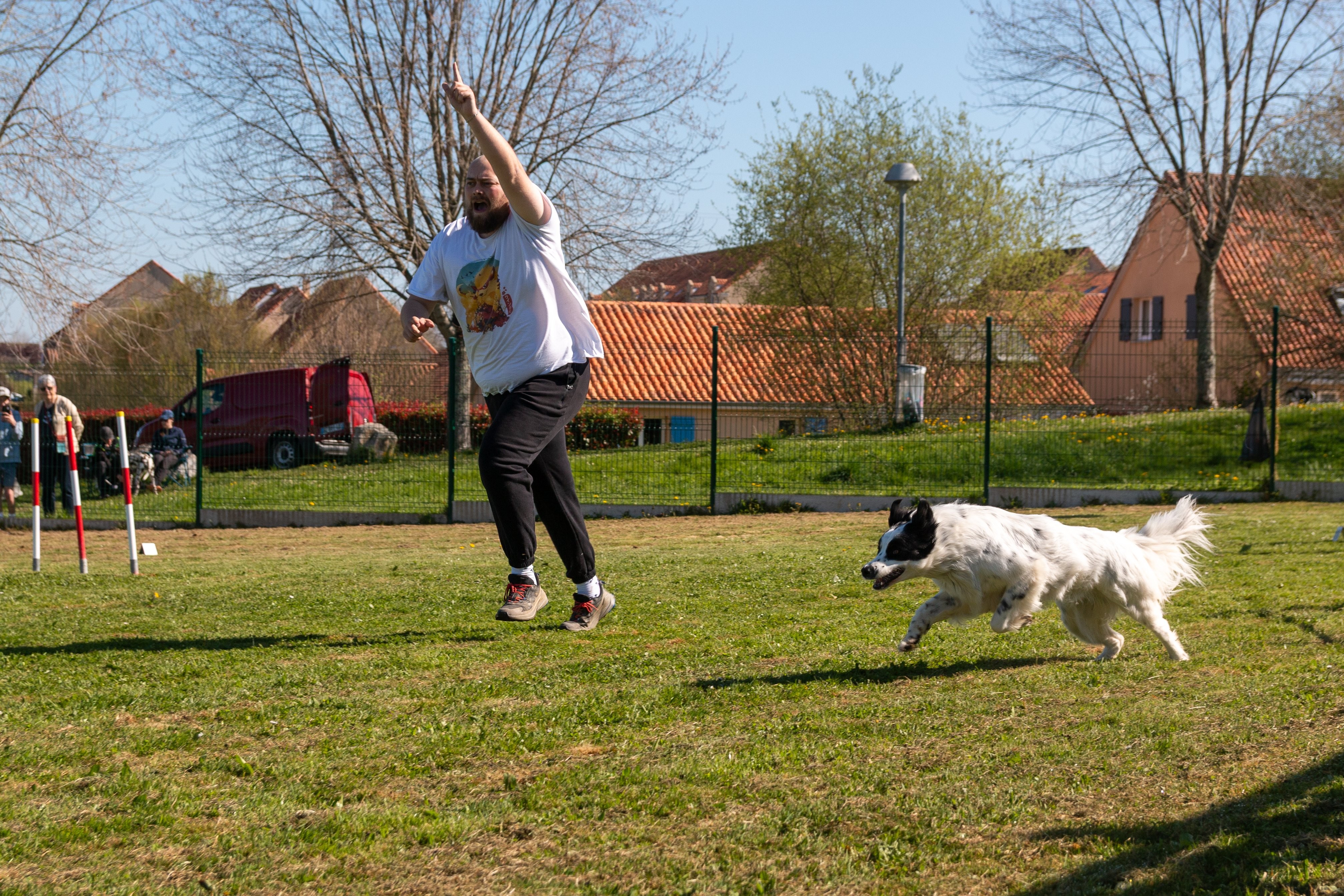 Agility grade 1 0274