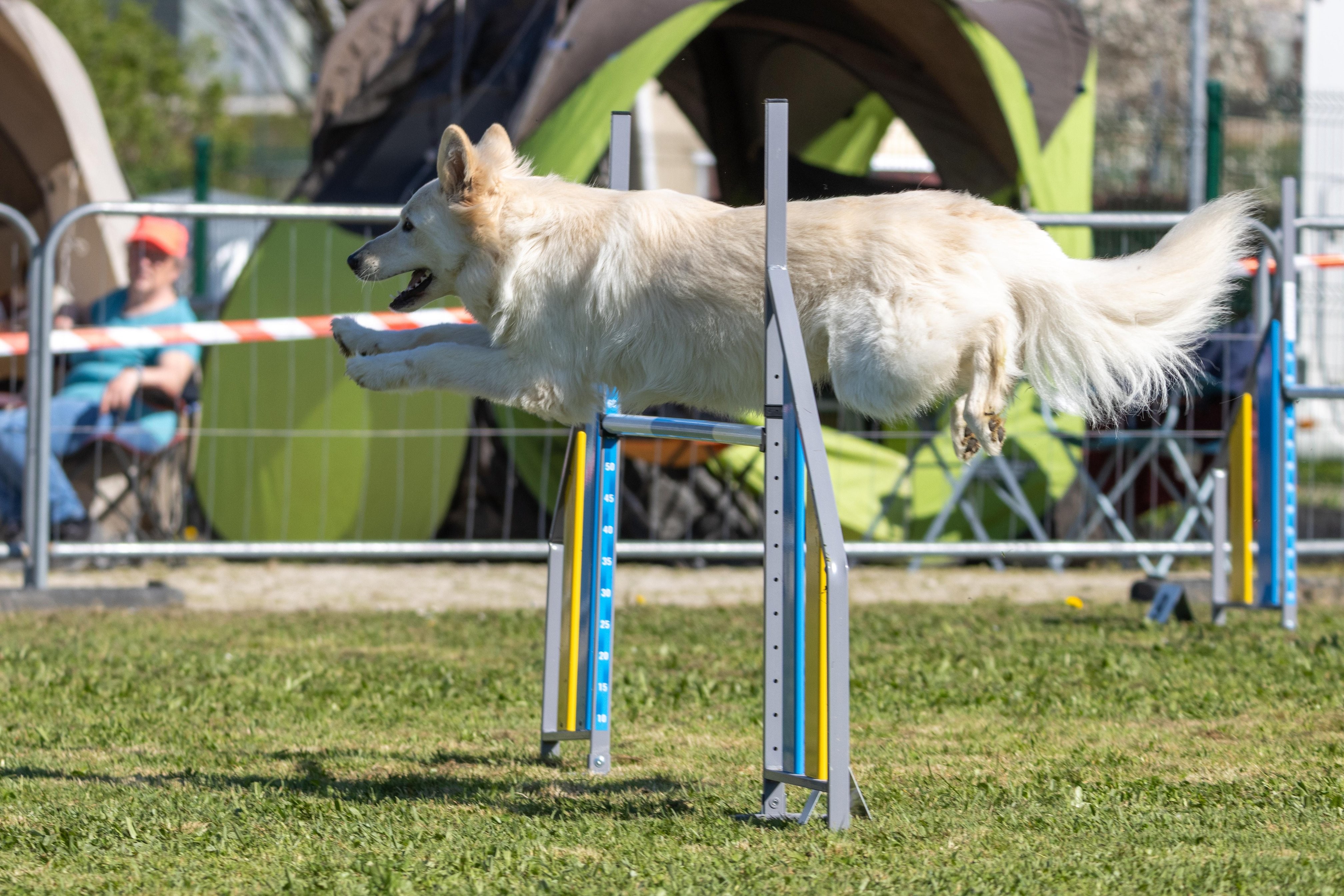Agility grade 1 0283