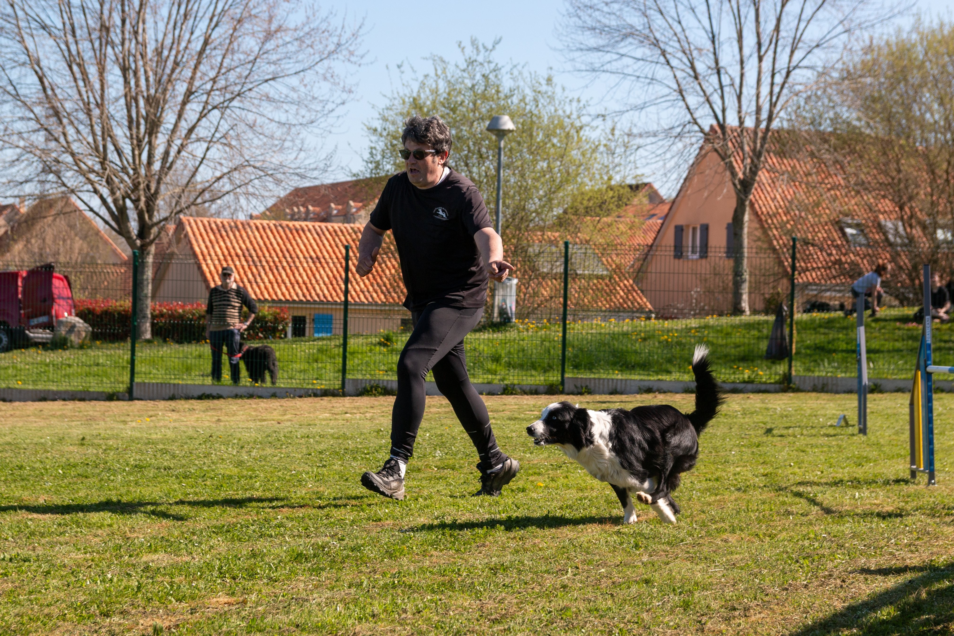 Agility grade 1 0290