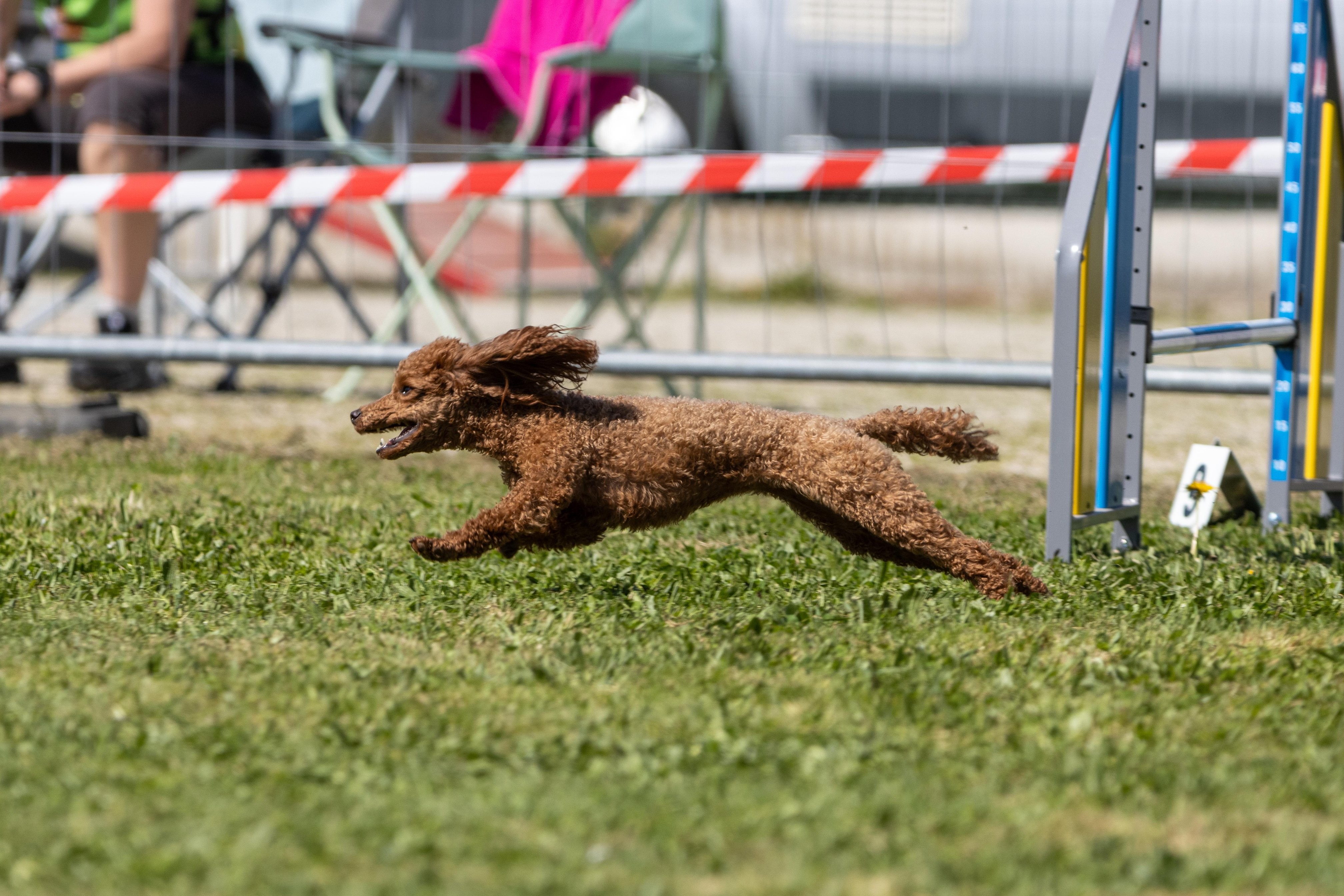 Agility grade 2 0307