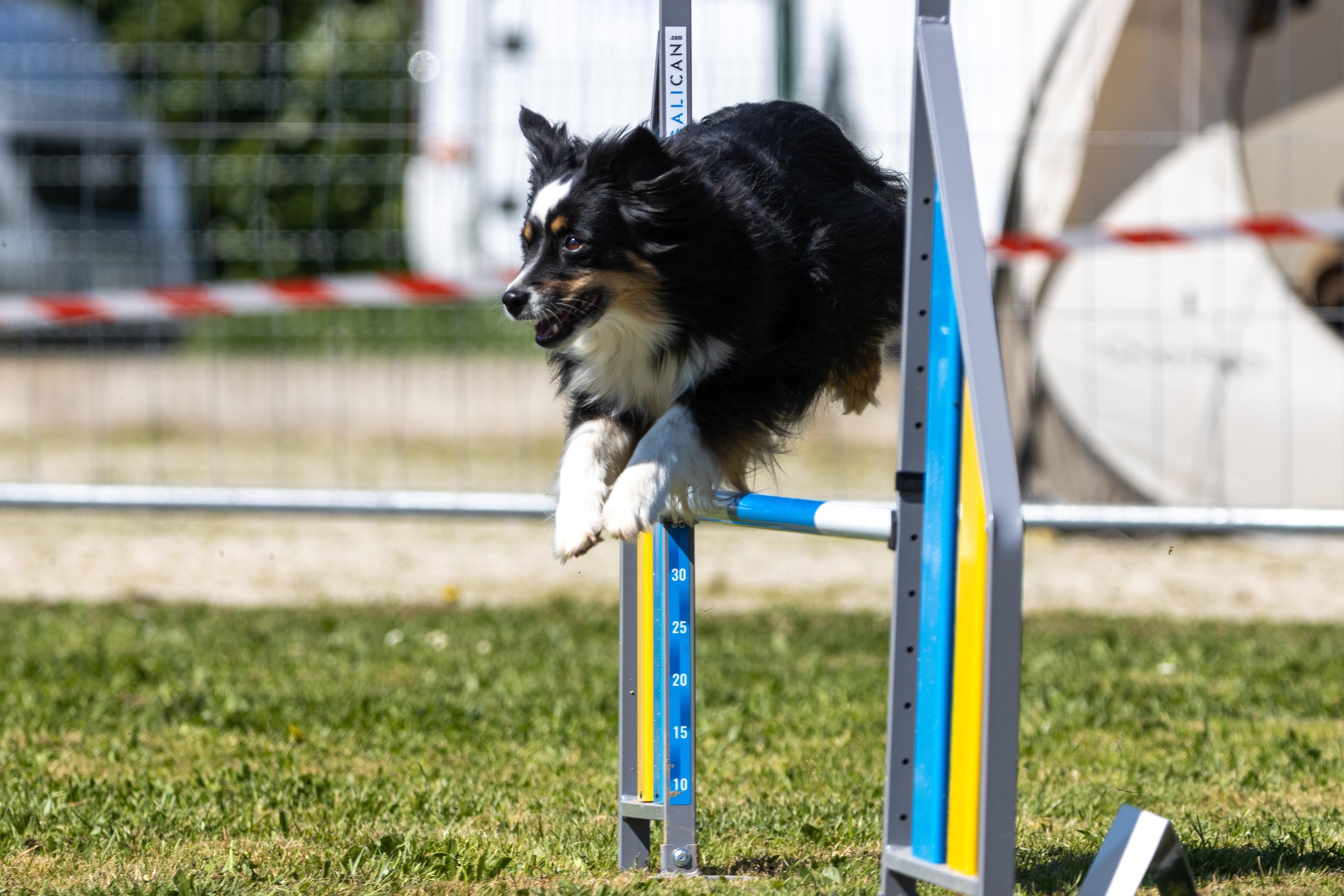 Agility grade 2 0318