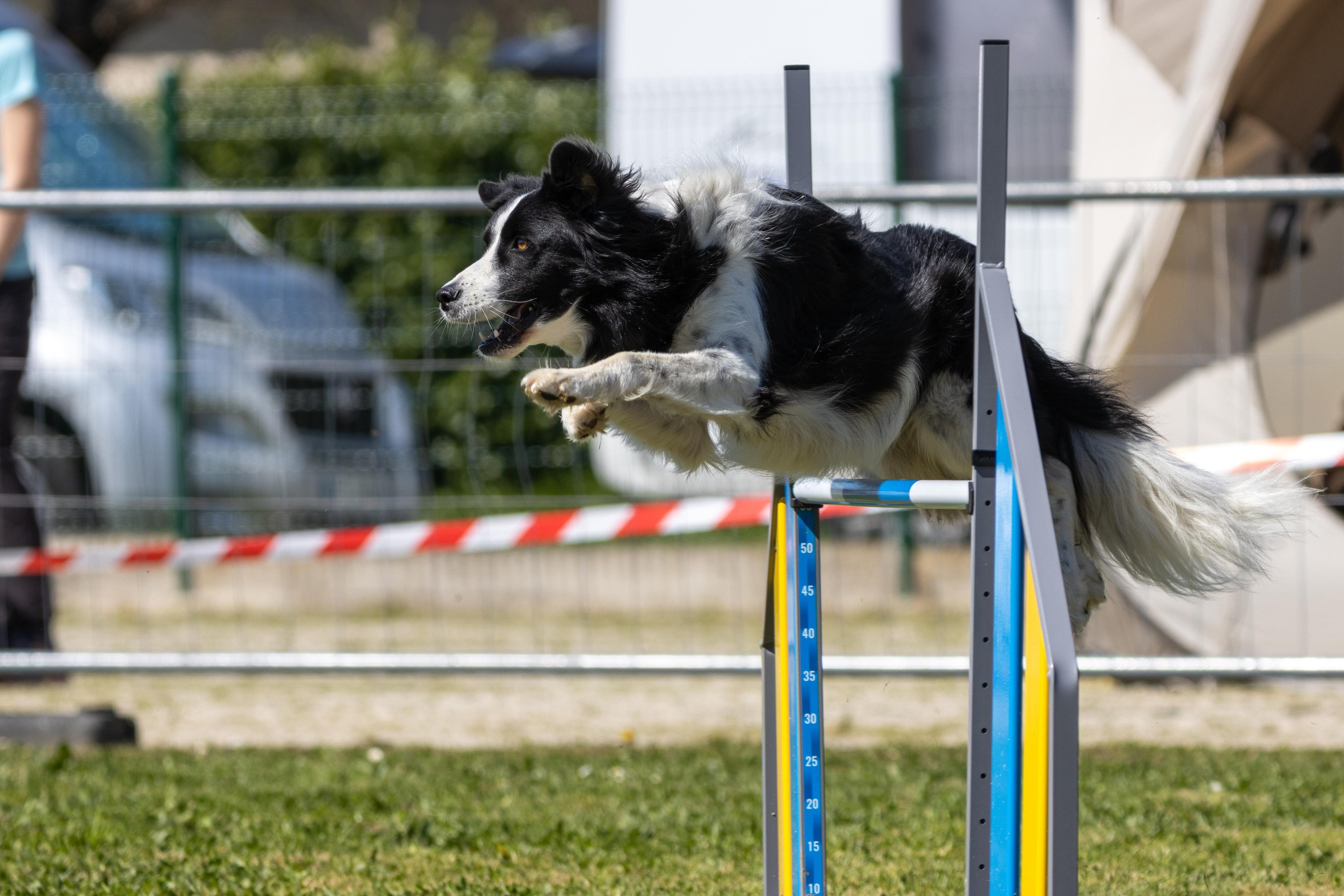 Agility grade 2 0328