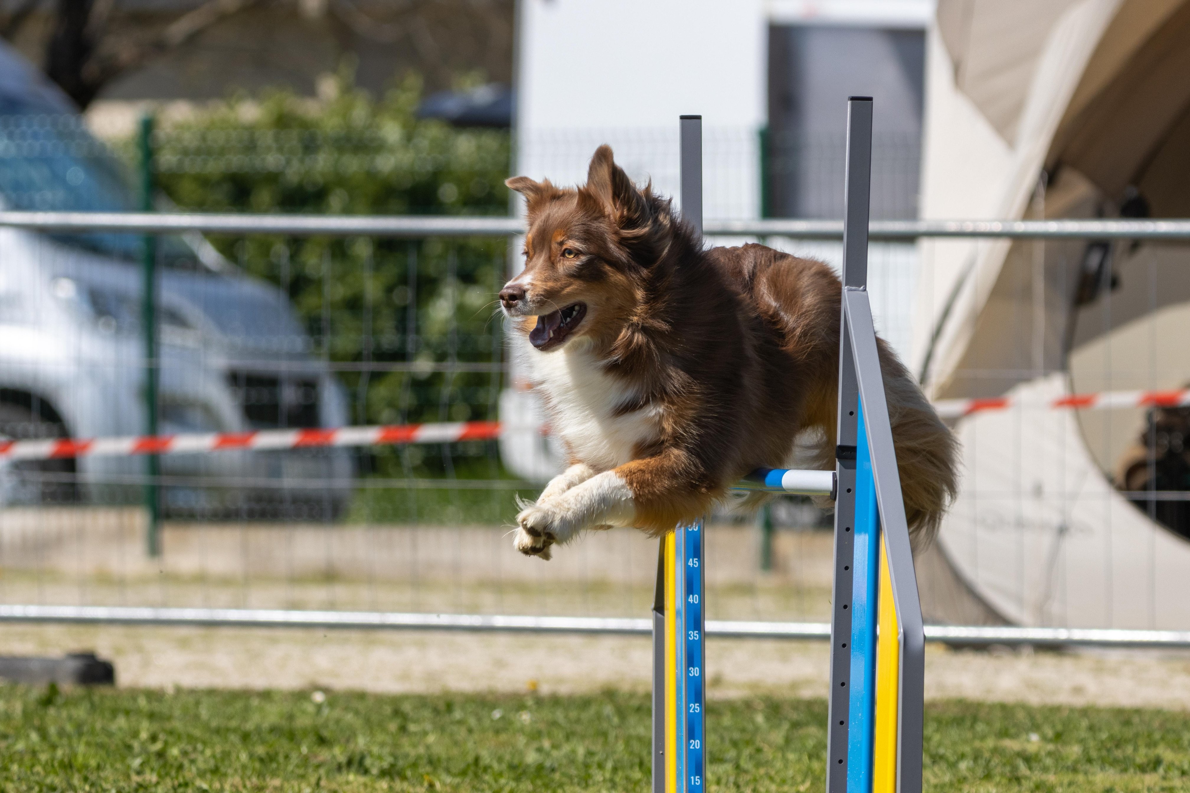Agility grade 2 0330