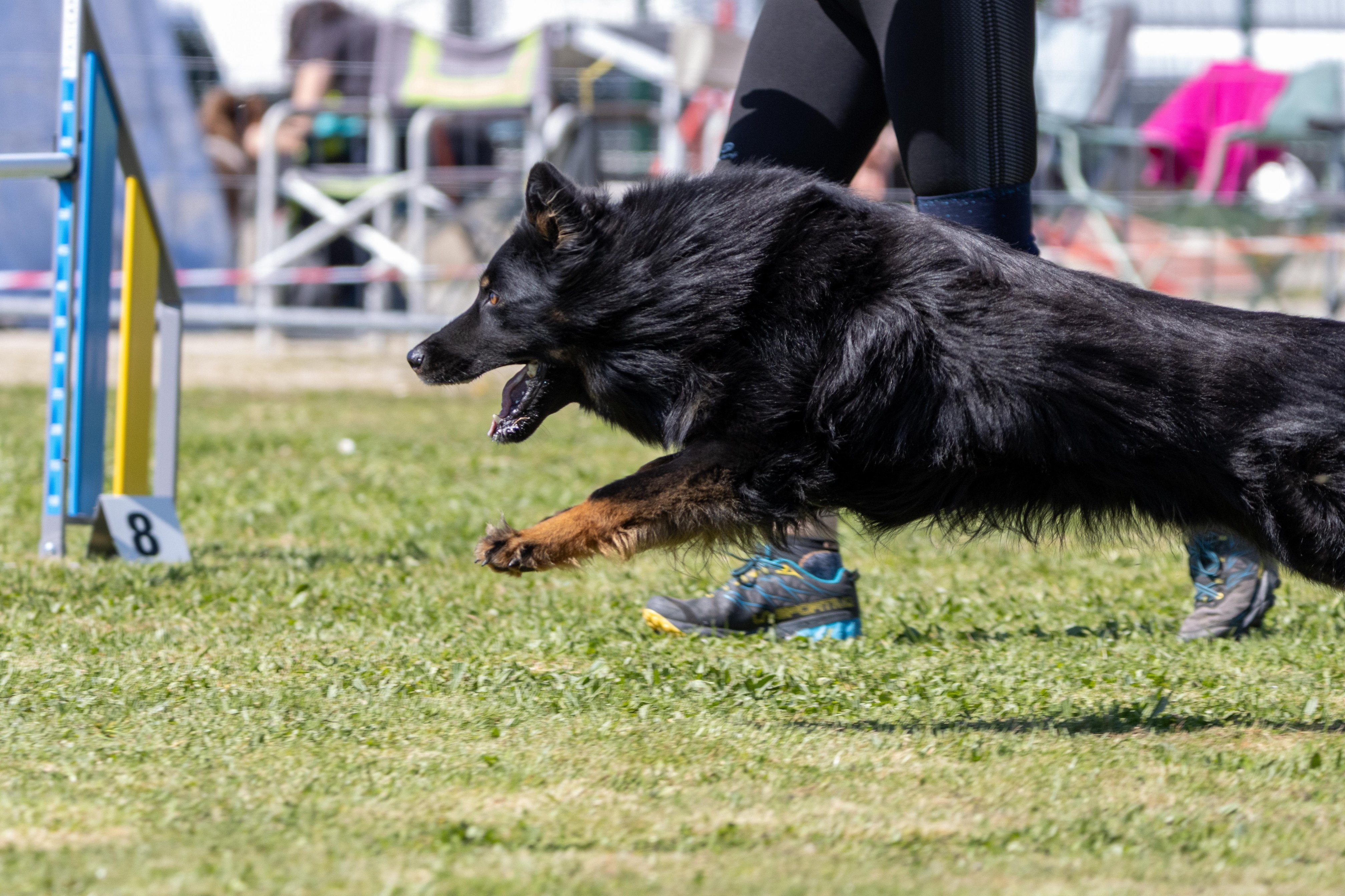 Agility grade 2 0332