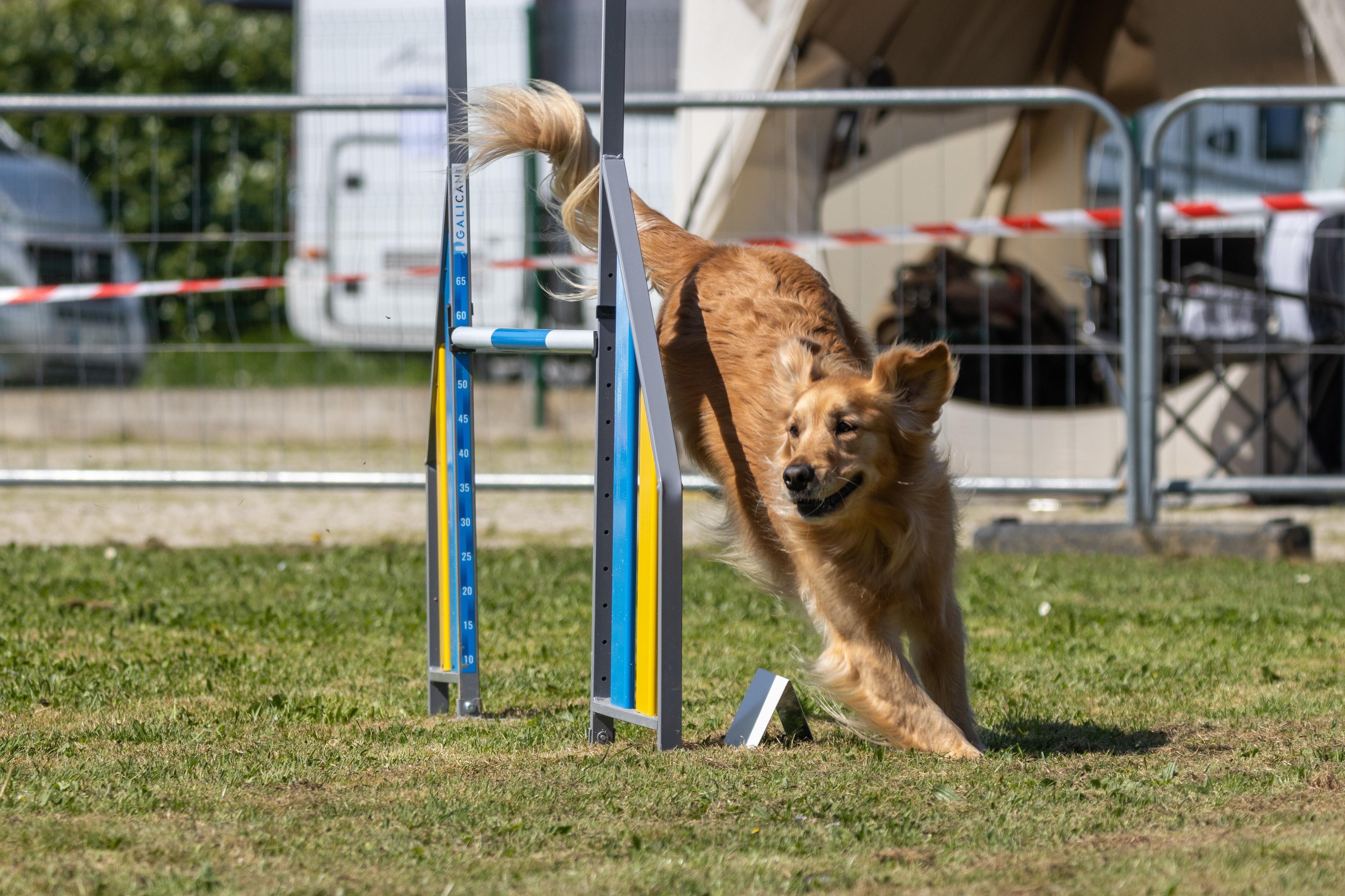 Agility grade 2 0347
