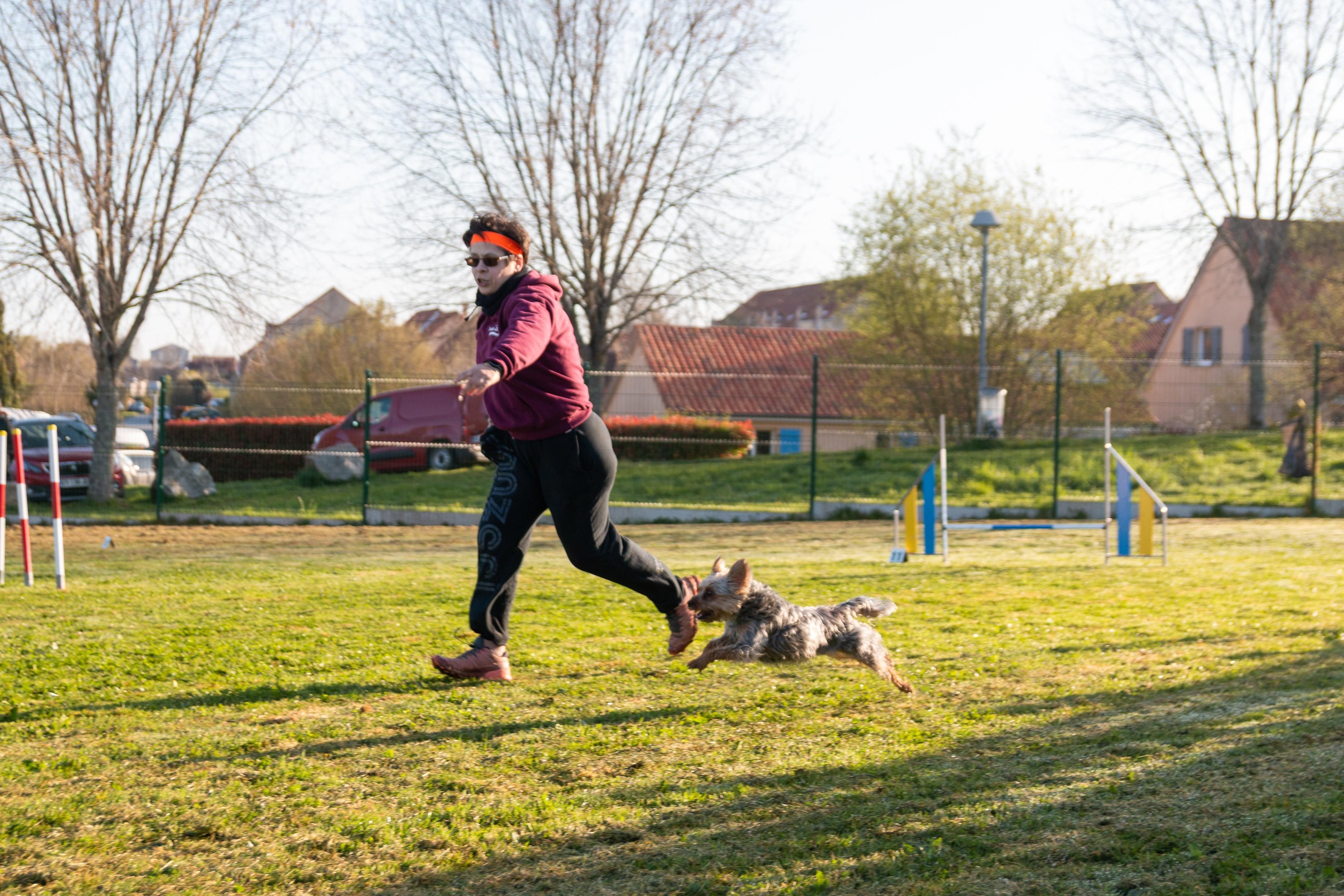 Agility grade 2 etoile 0035