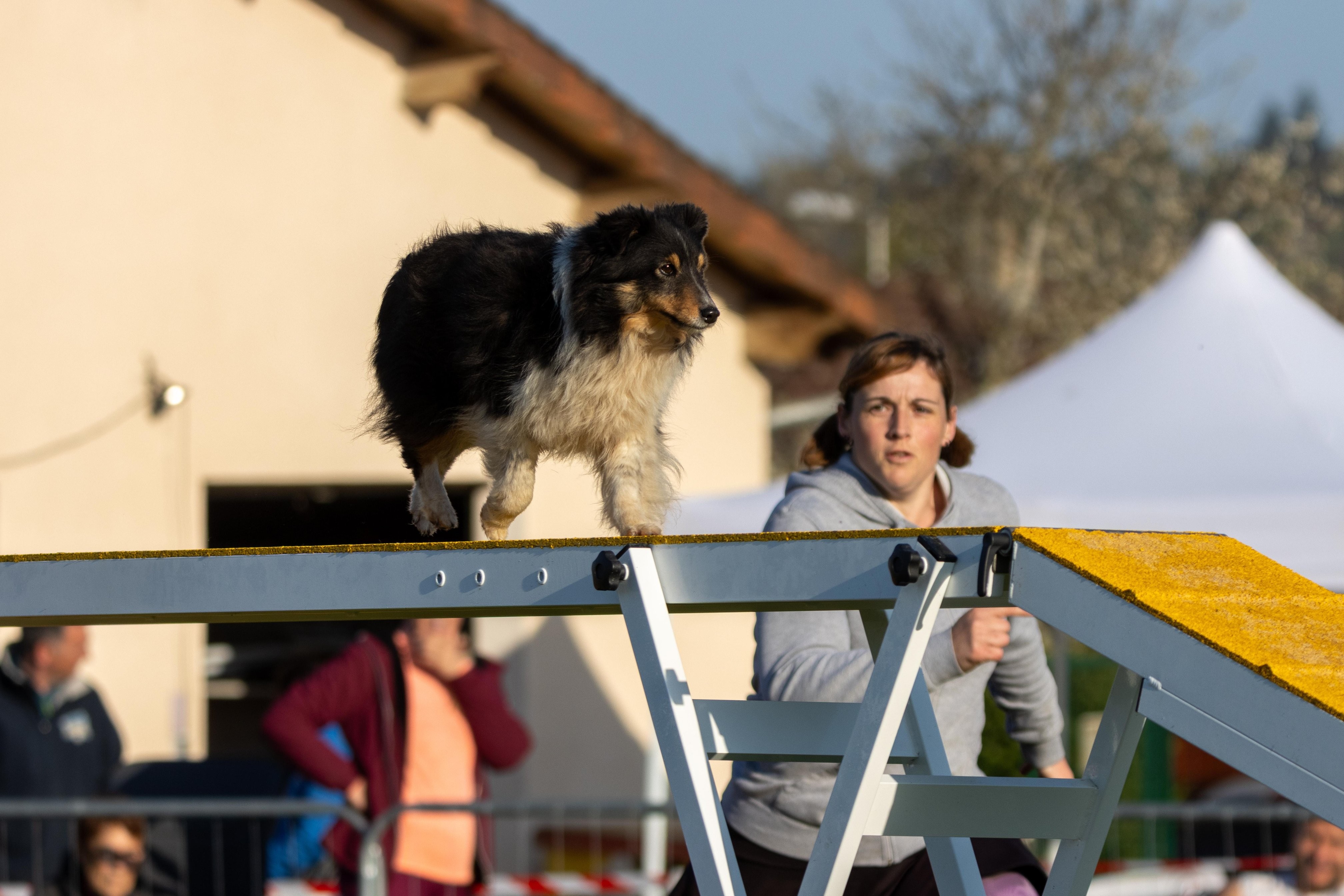 Agility grade 2 etoile 0047