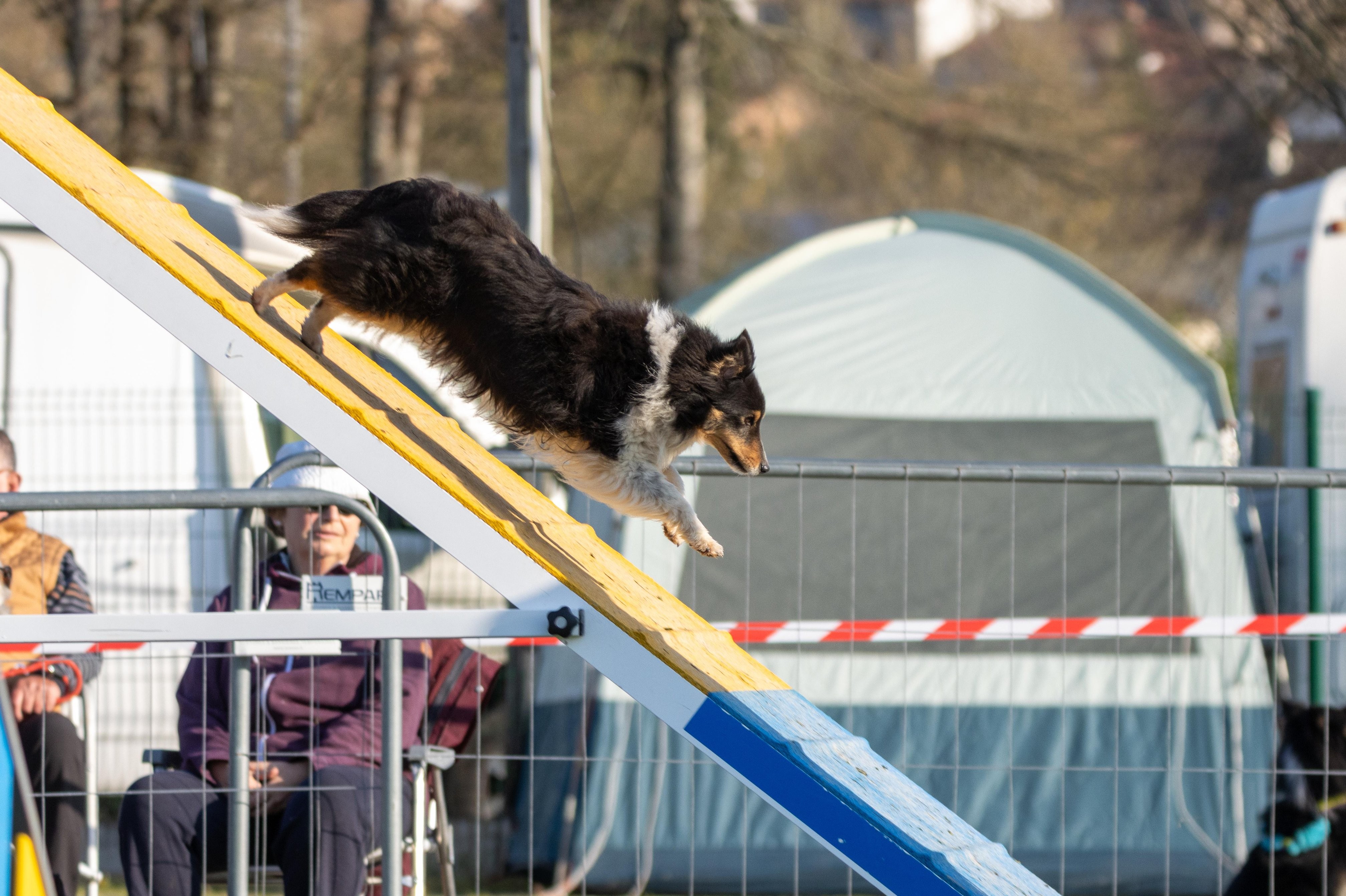 Agility grade 2 etoile 0048