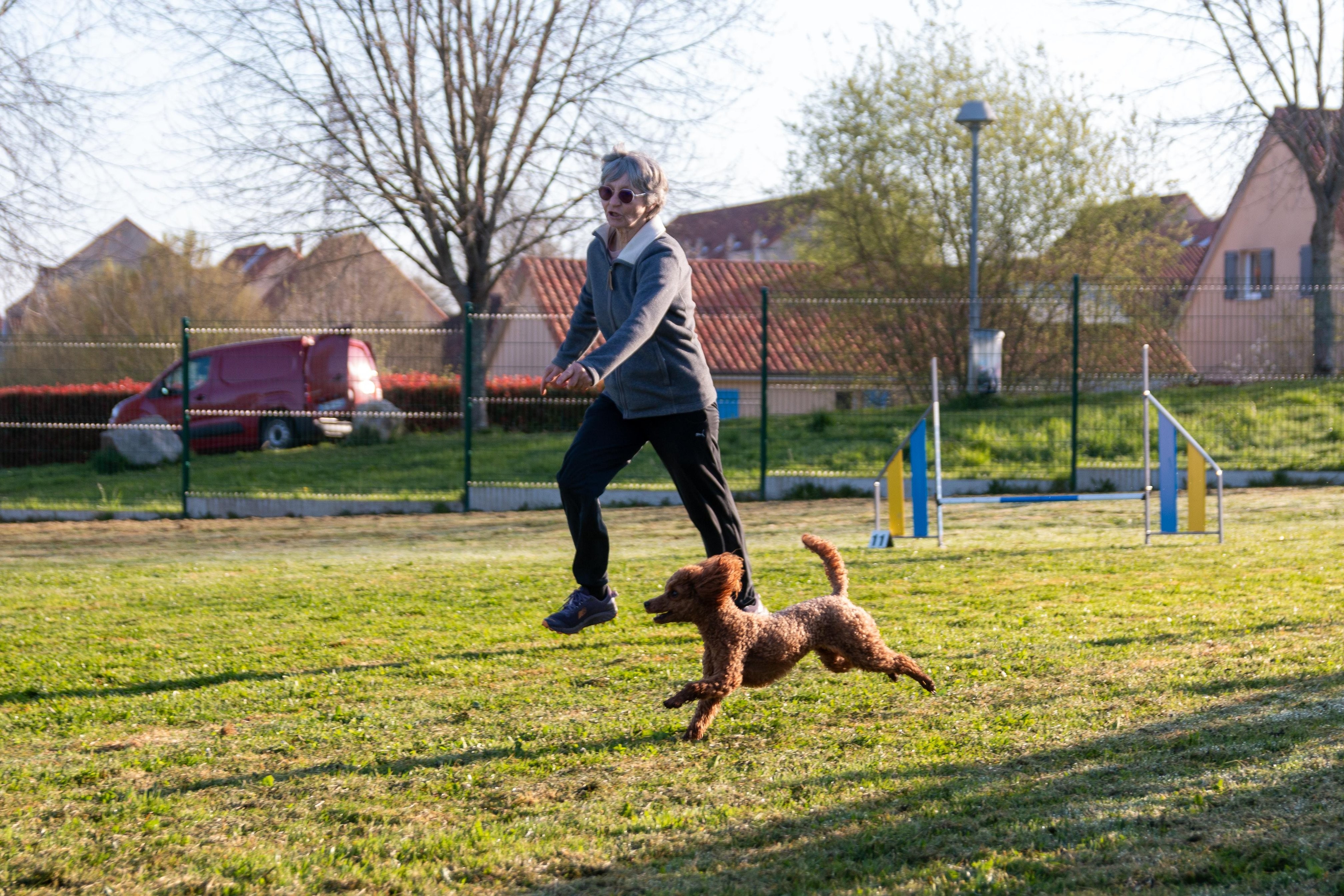 Agility grade 2 etoile 0049