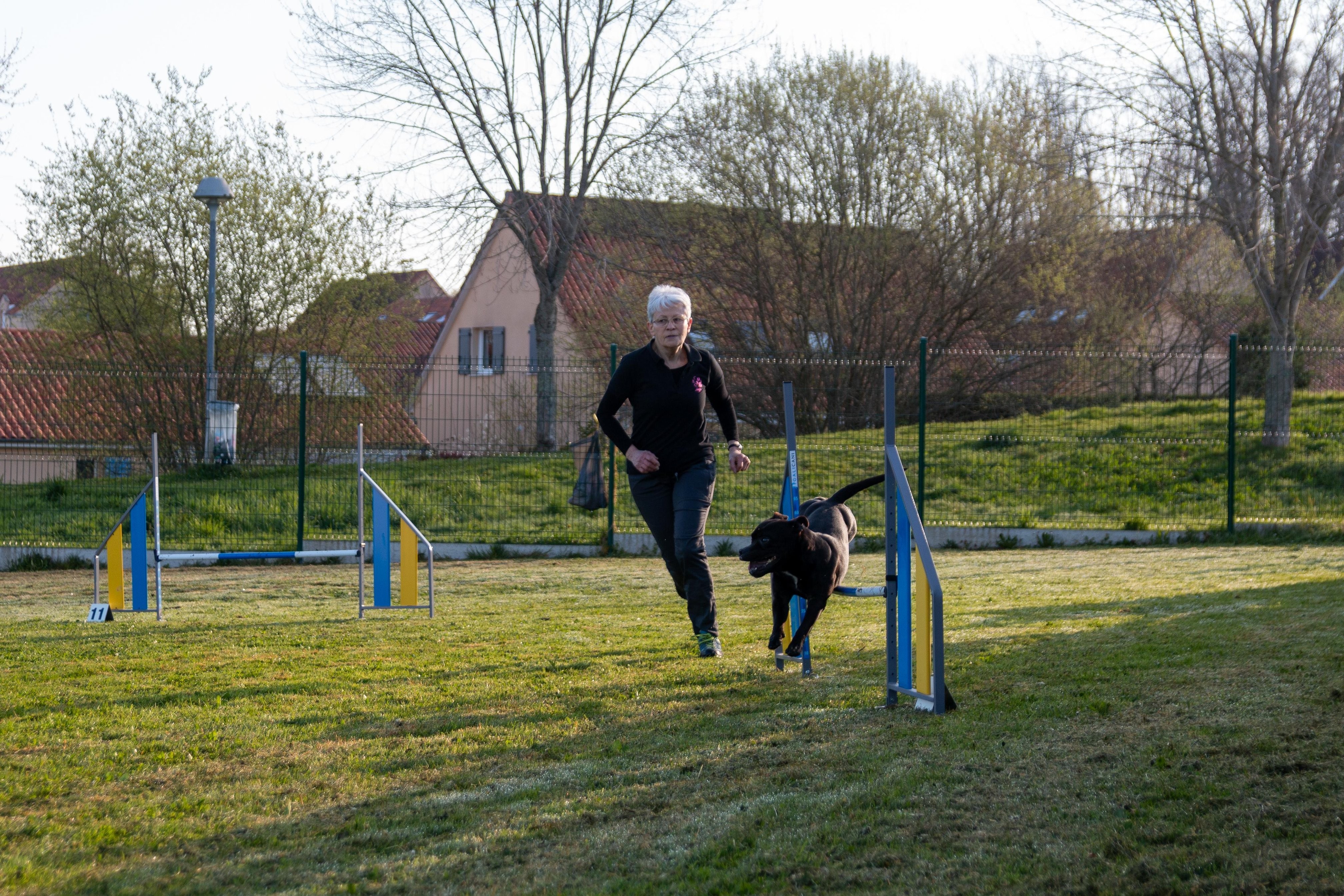 Agility grade 2 etoile 0053