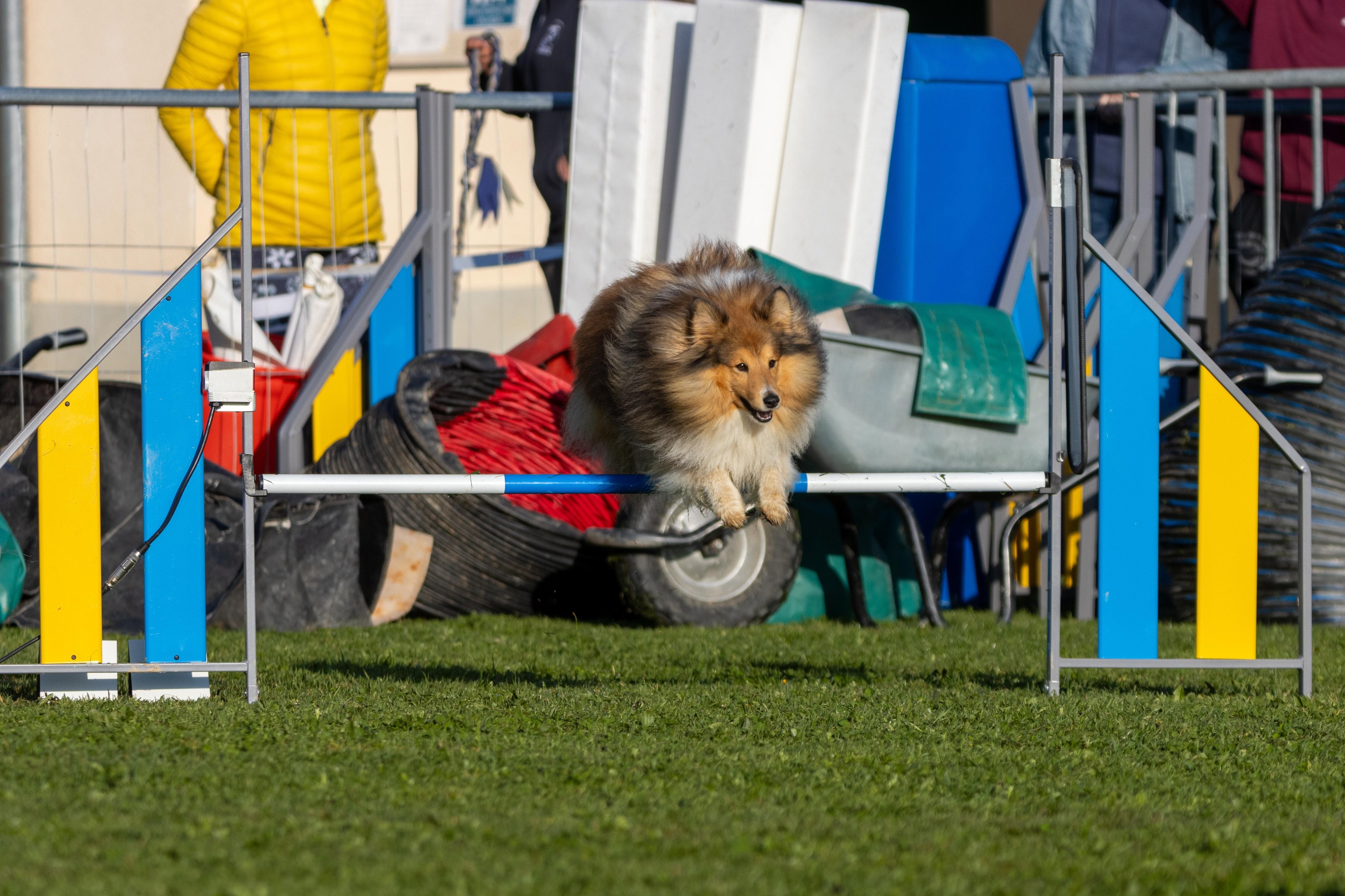 Agility grade 2 etoile 0054