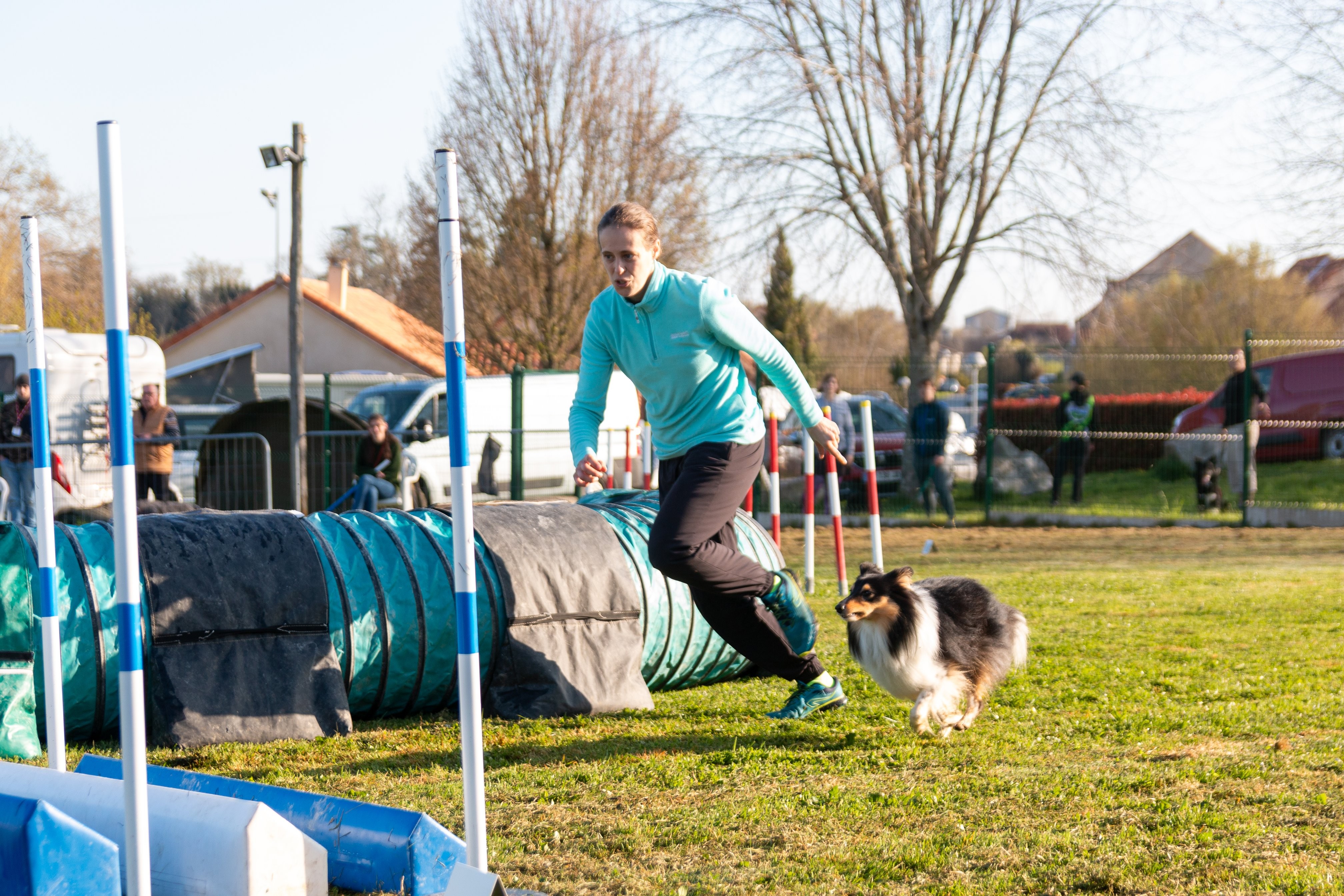 Agility grade 2 etoile 0056