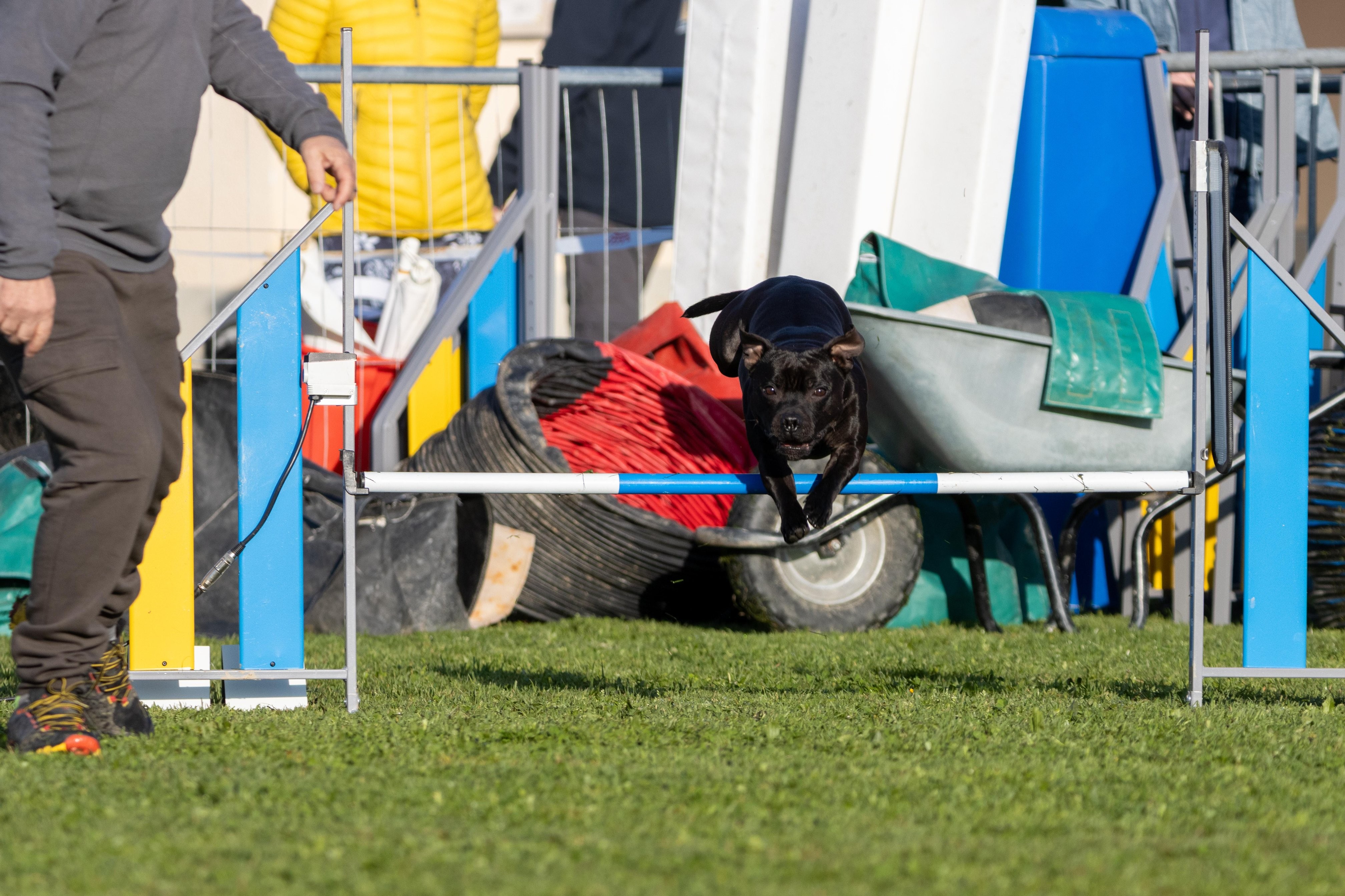 Agility grade 2 etoile 0058