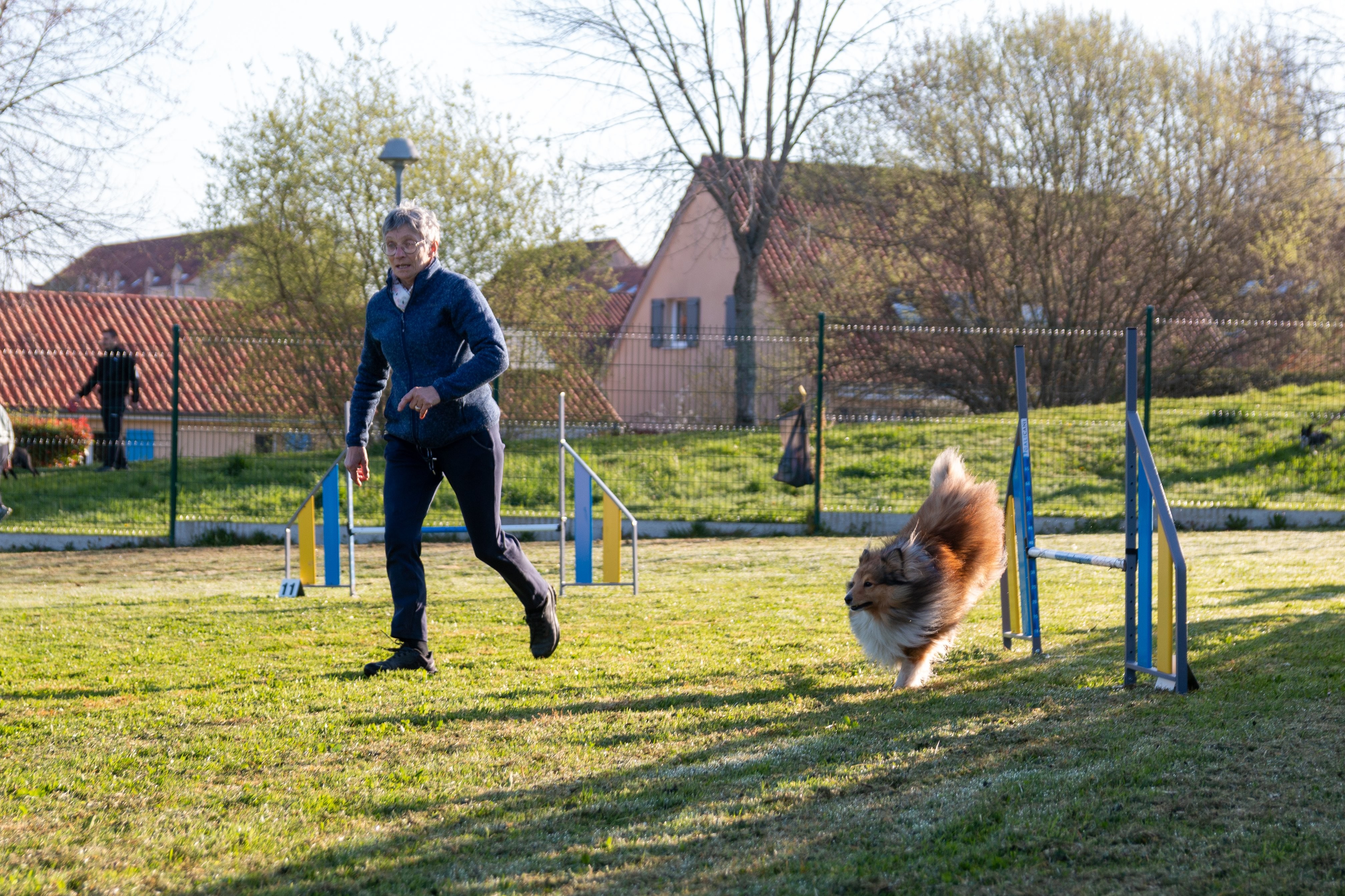 Agility grade 2 etoile 0061