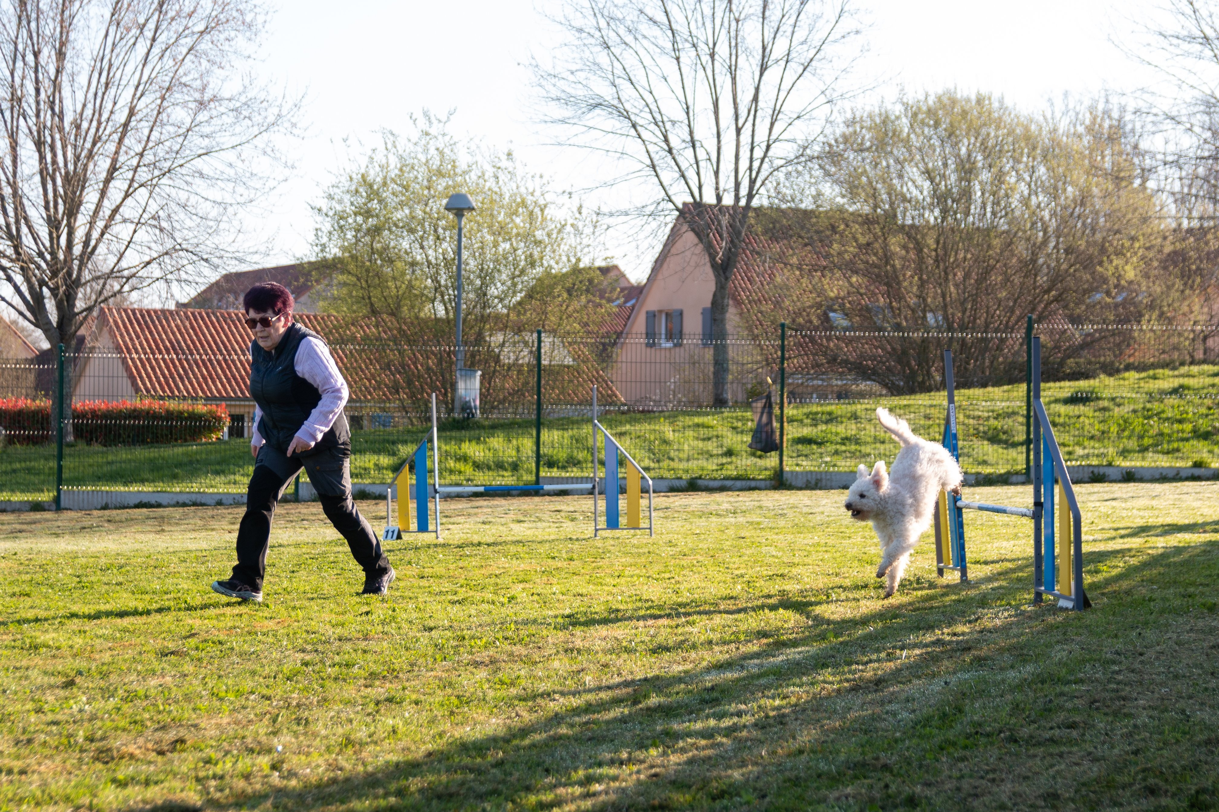 Agility grade 2 etoile 0068
