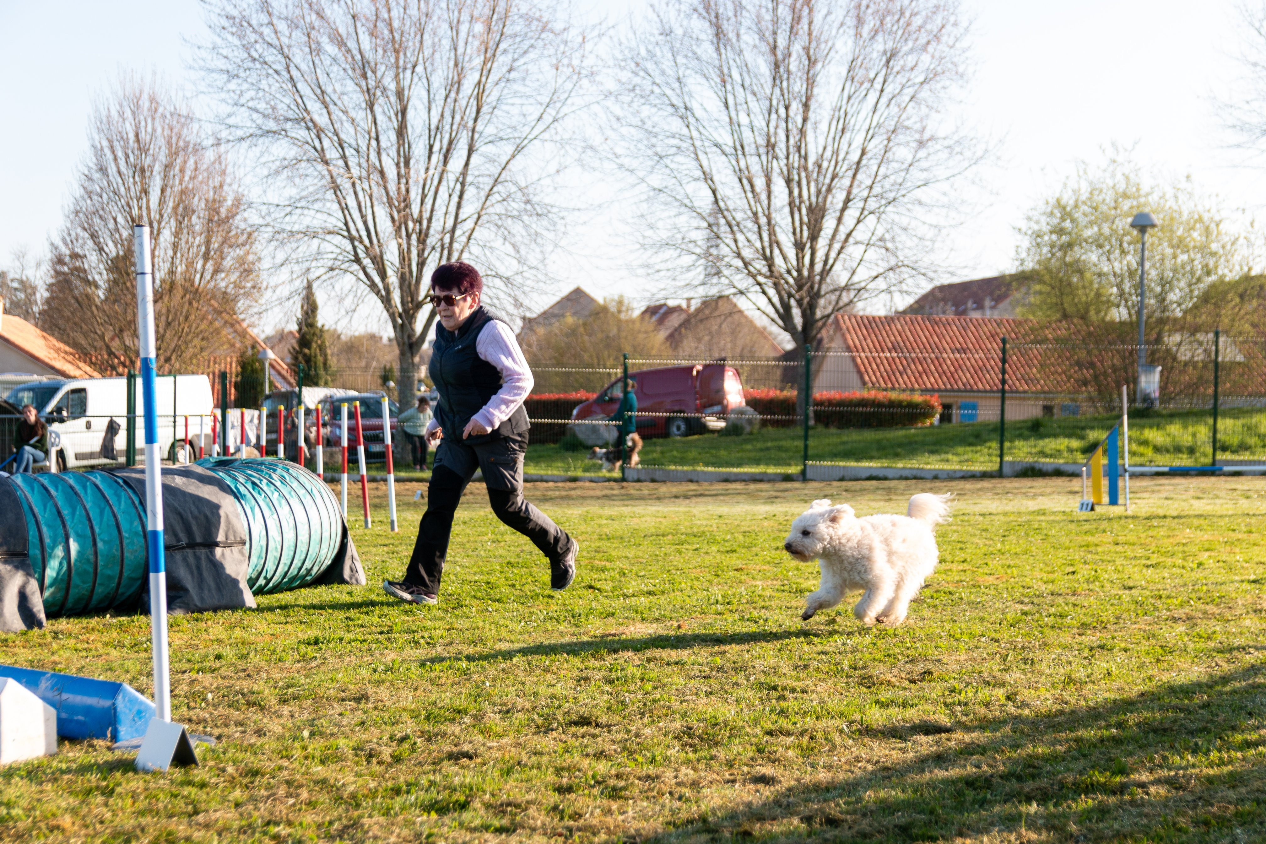 Agility grade 2 etoile 0069