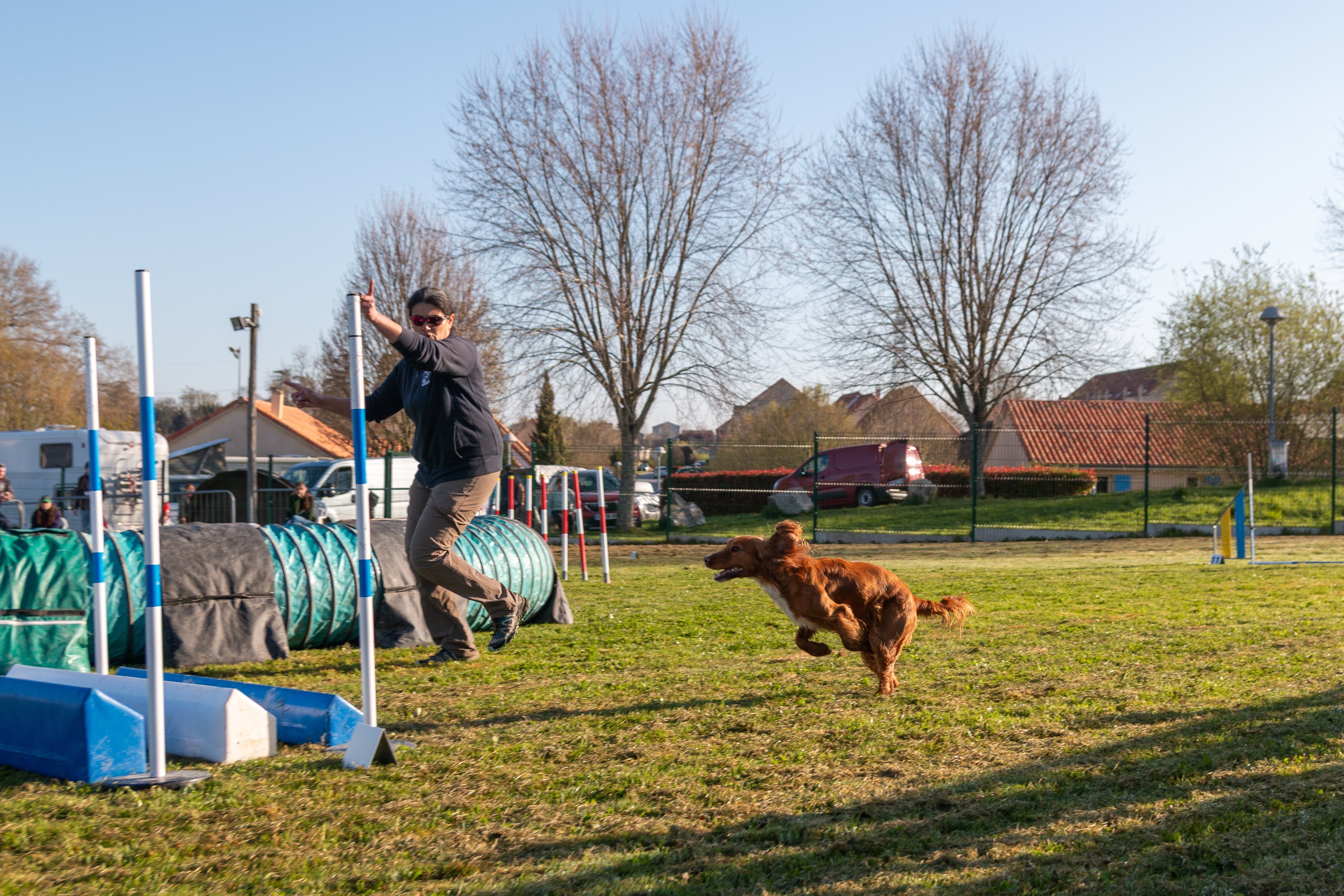Agility grade 2 etoile 0078