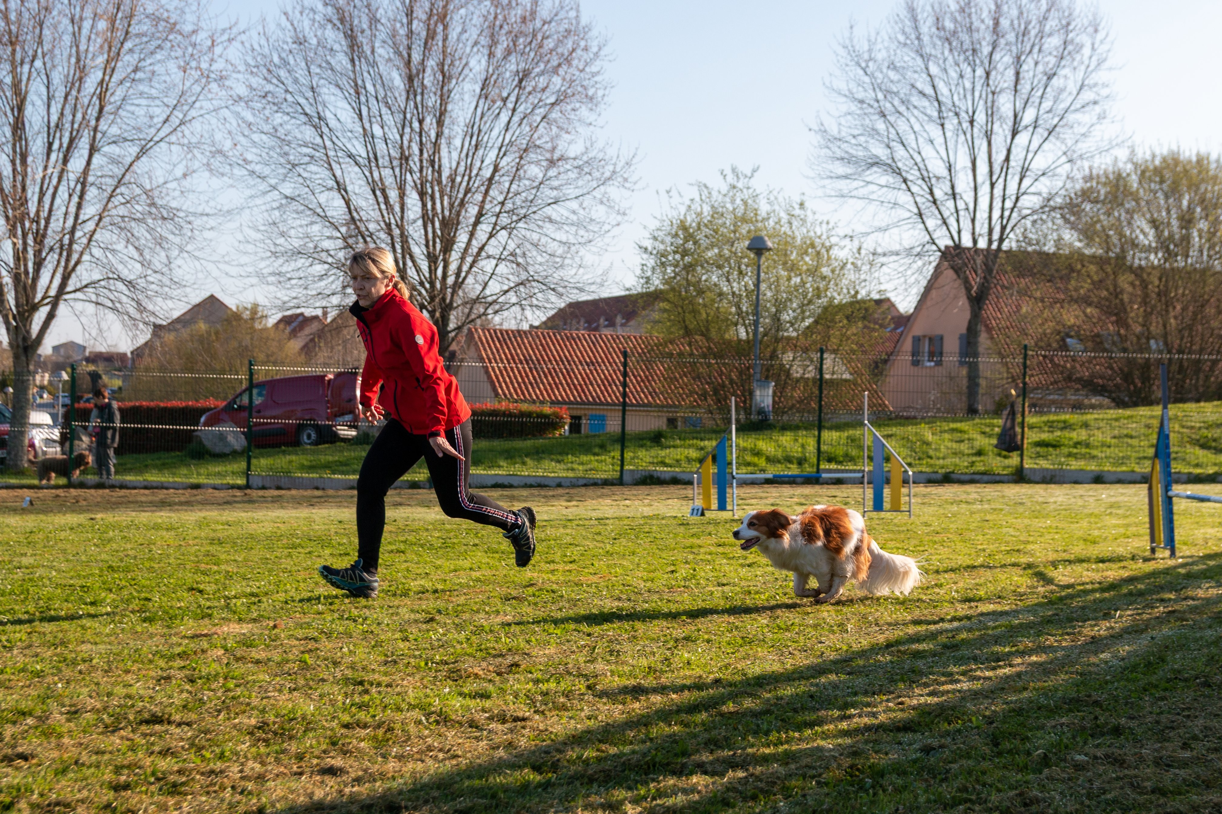 Agility grade 2 etoile 0086