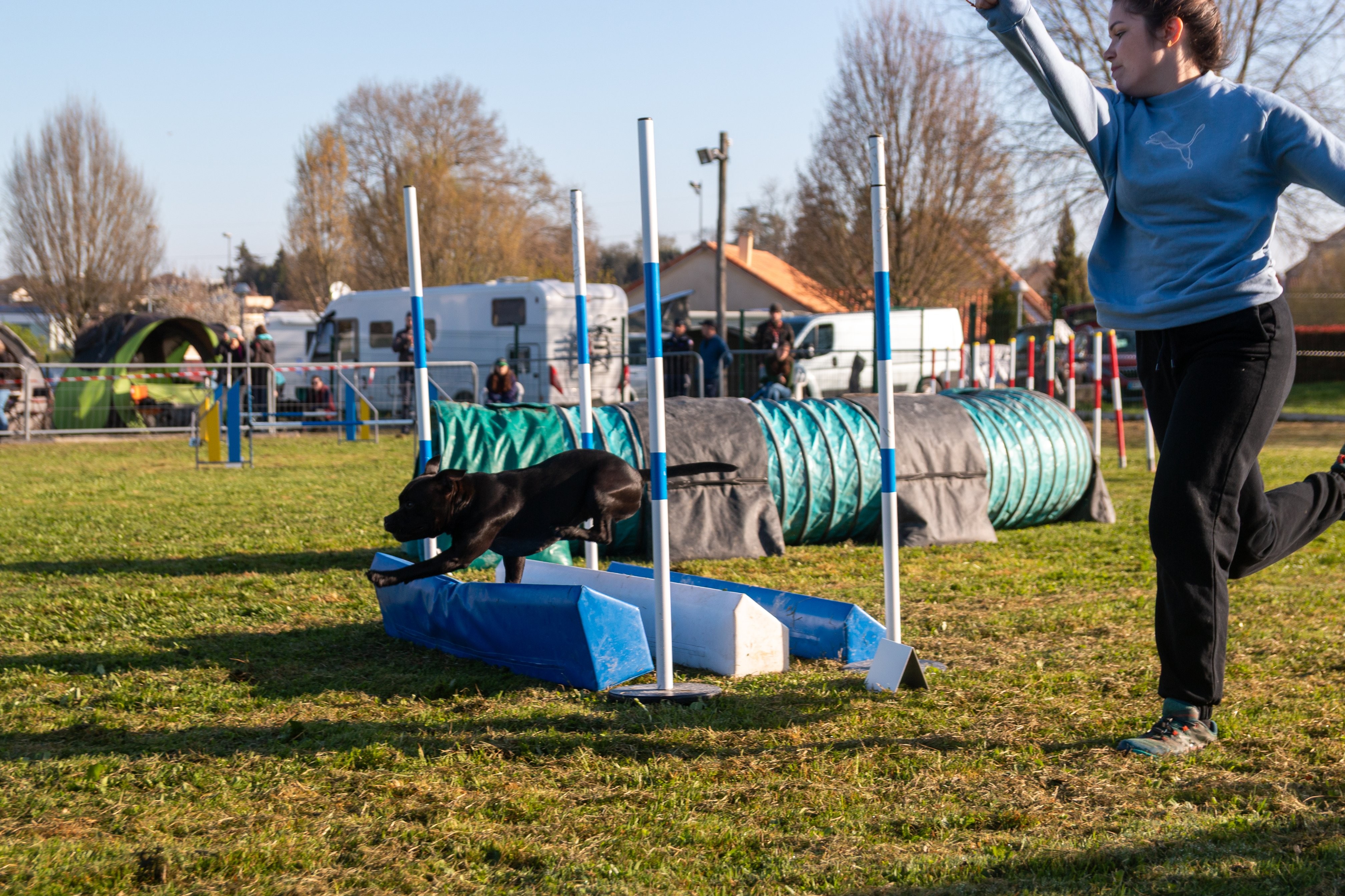 Agility grade 2 etoile 0090