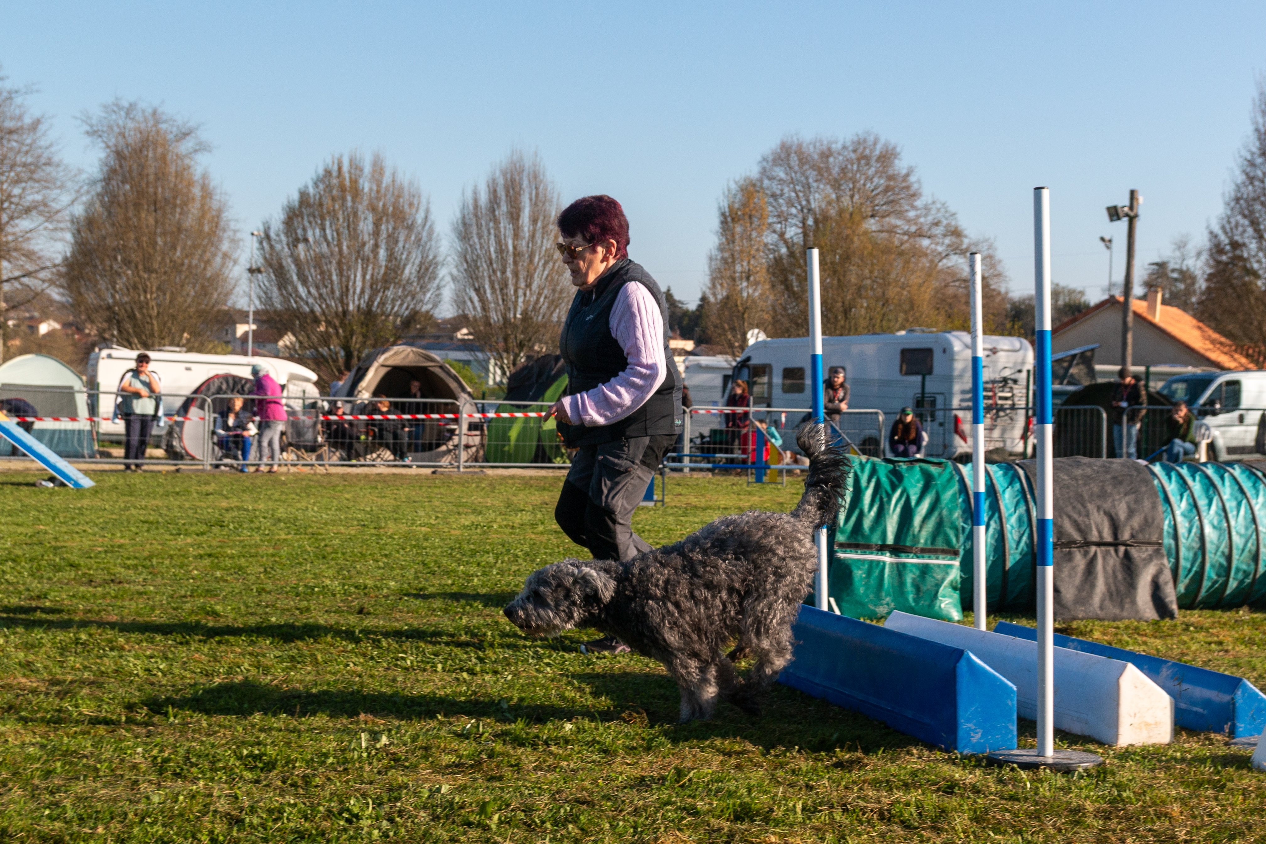 Agility grade 2 etoile 0097