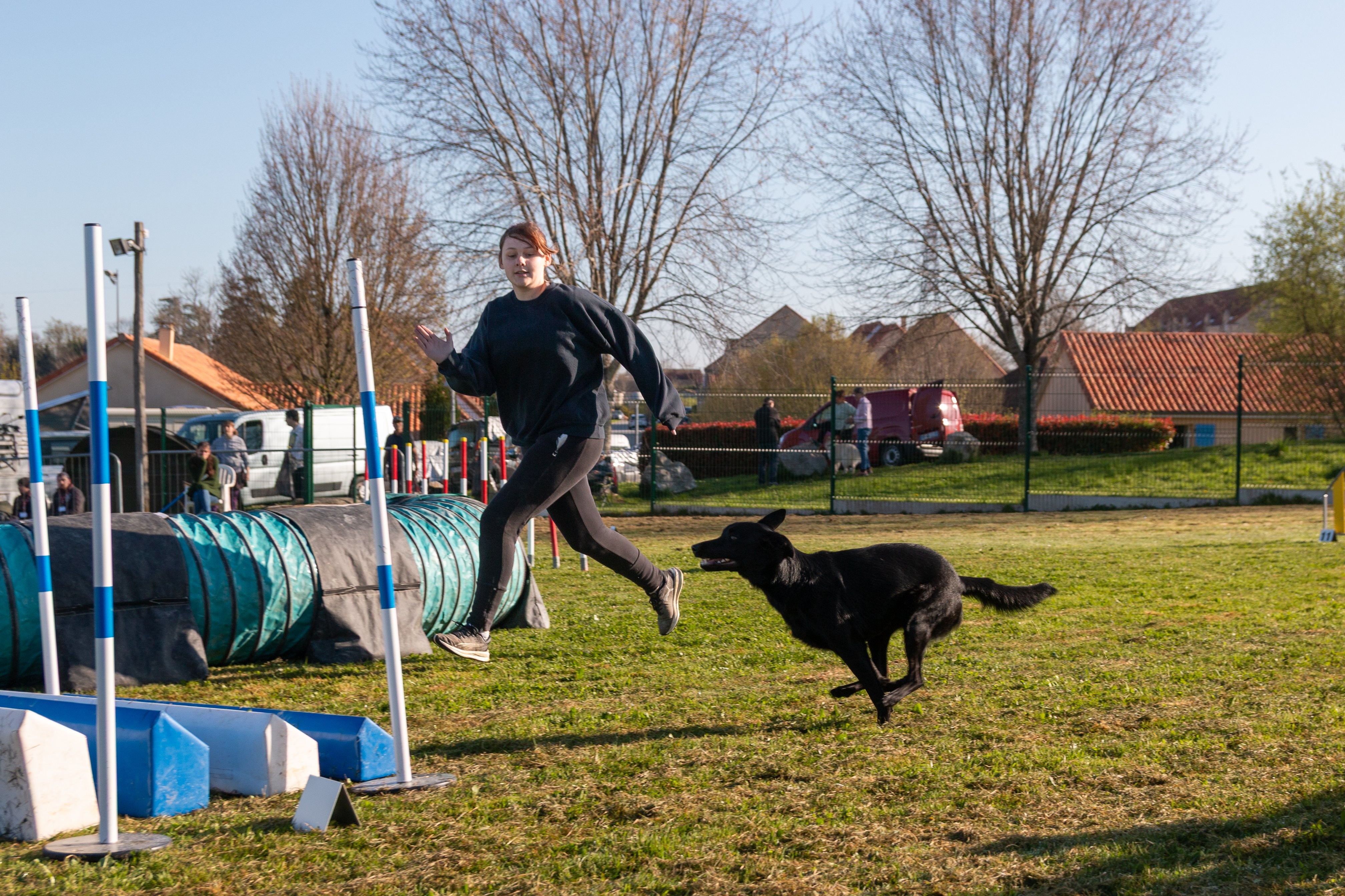 Agility grade 2 etoile 0103