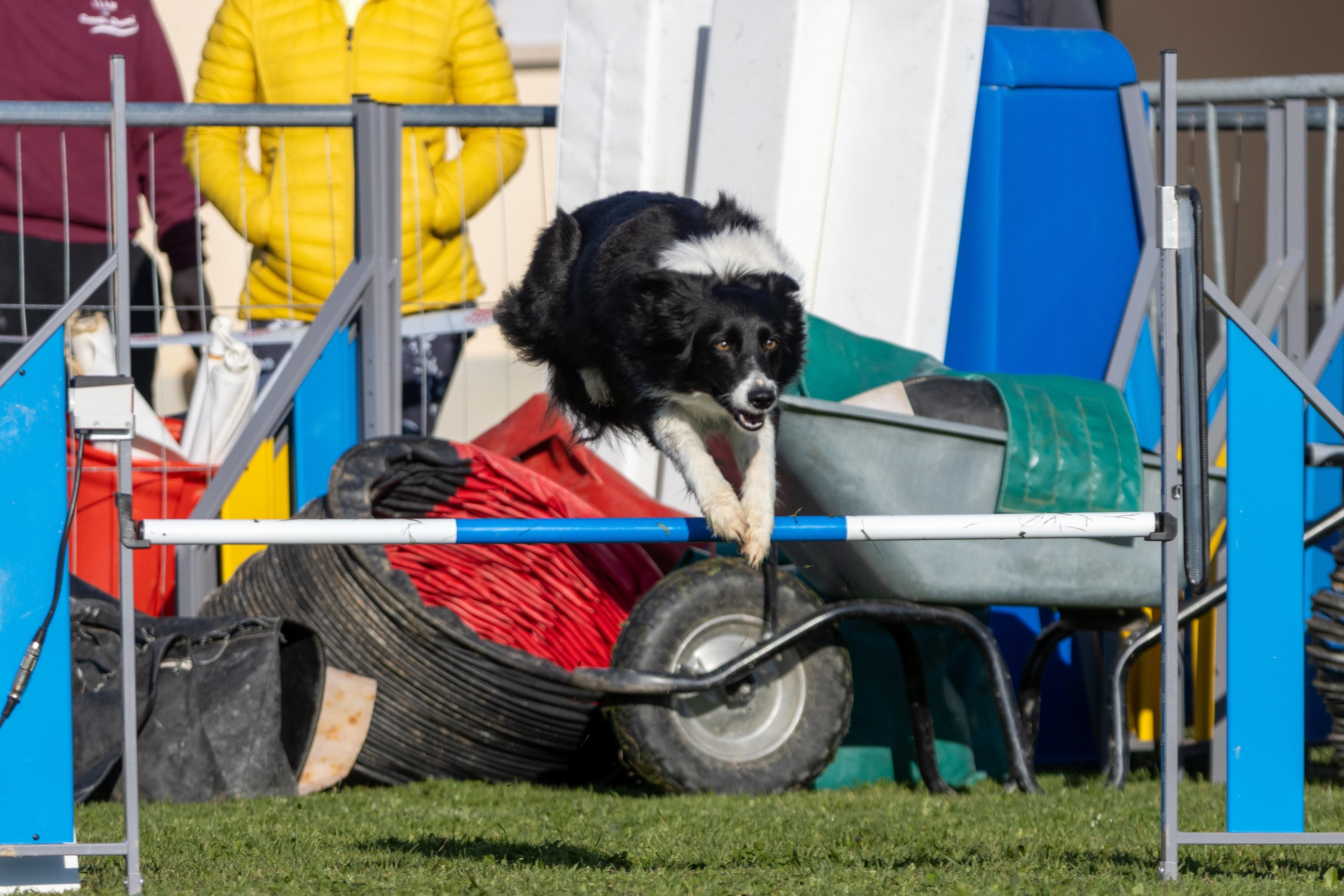 Agility grade 2 etoile 0108