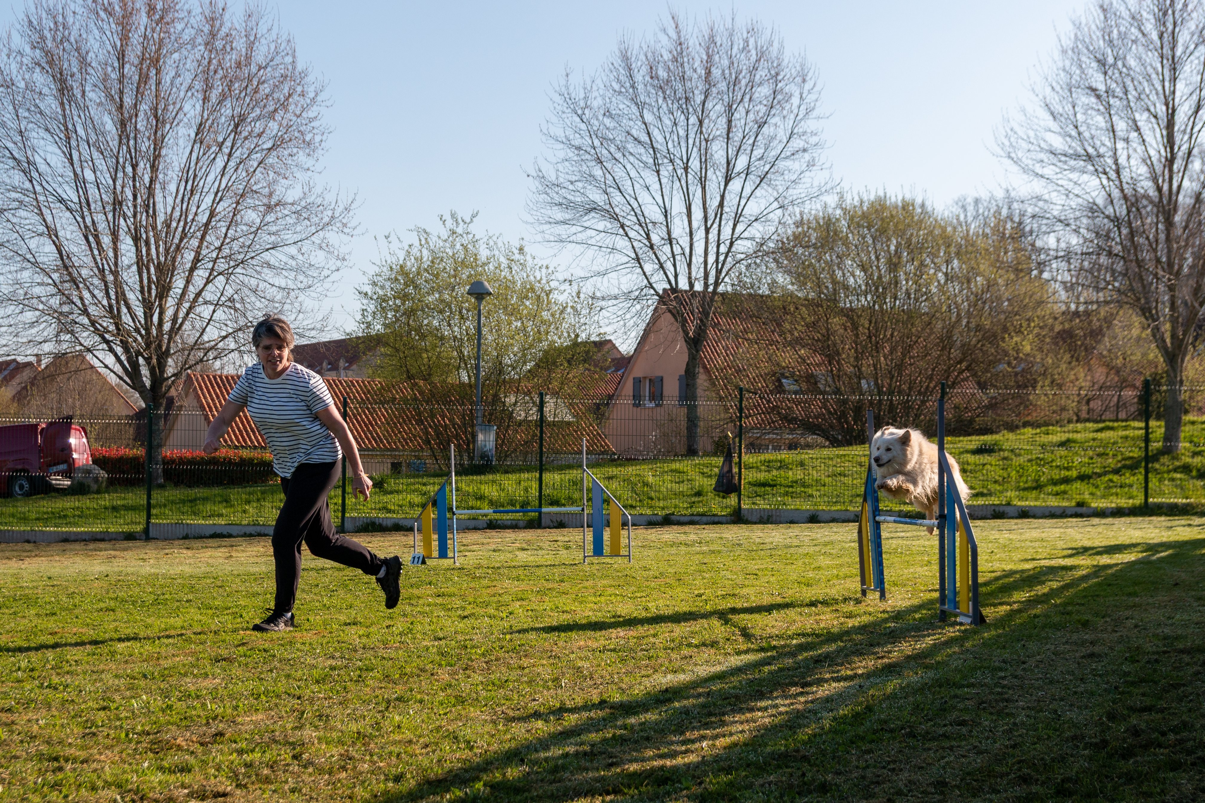 Agility grade 2 etoile 0109