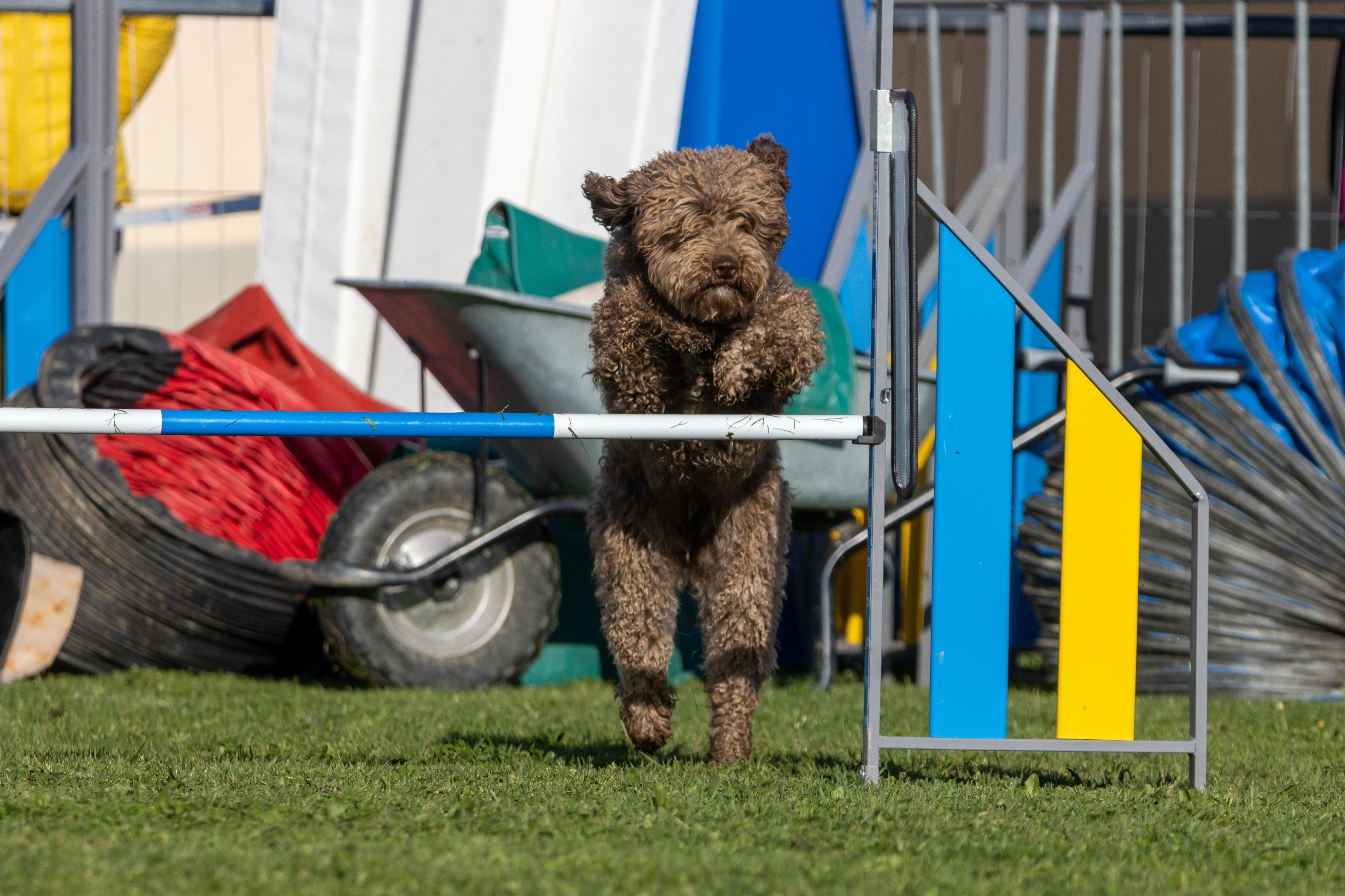 Agility grade 2 etoile 0112