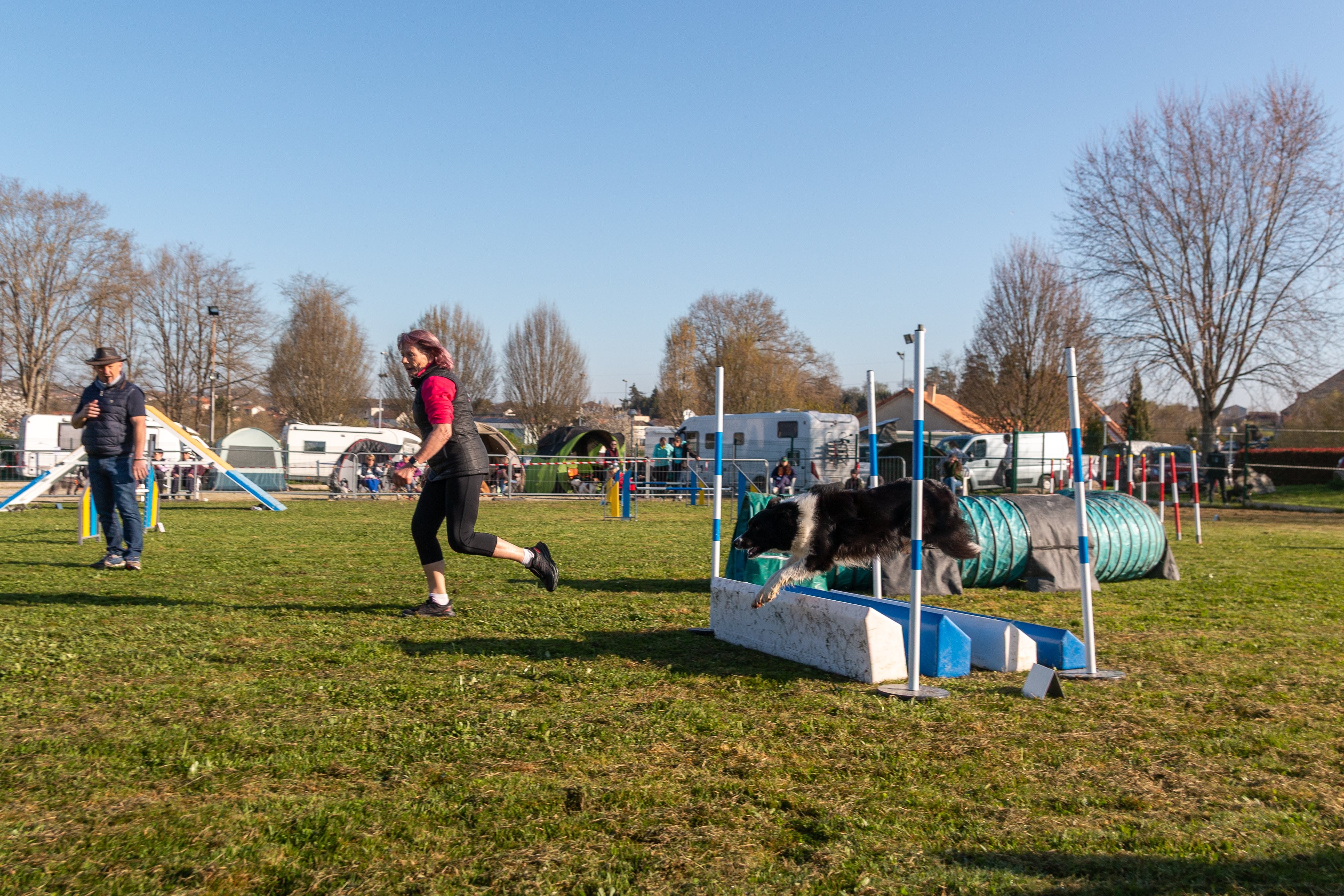 Agility grade 2 etoile 0117