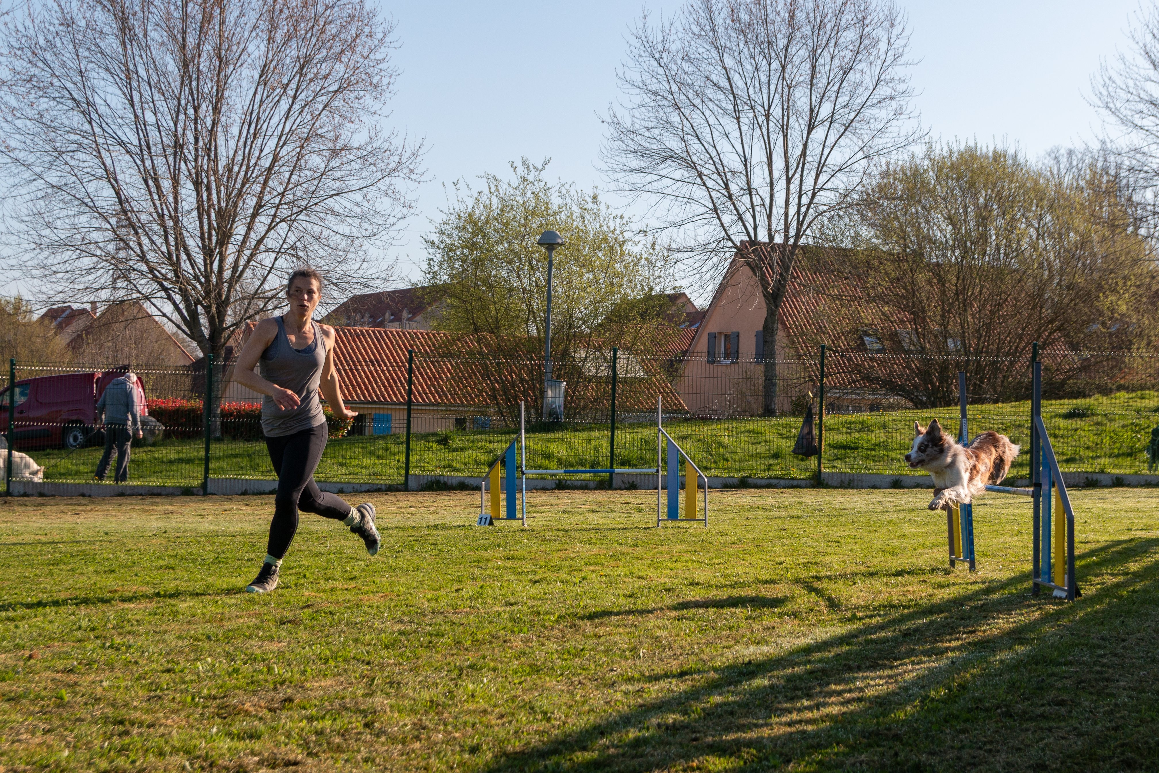 Agility grade 2 etoile 0121