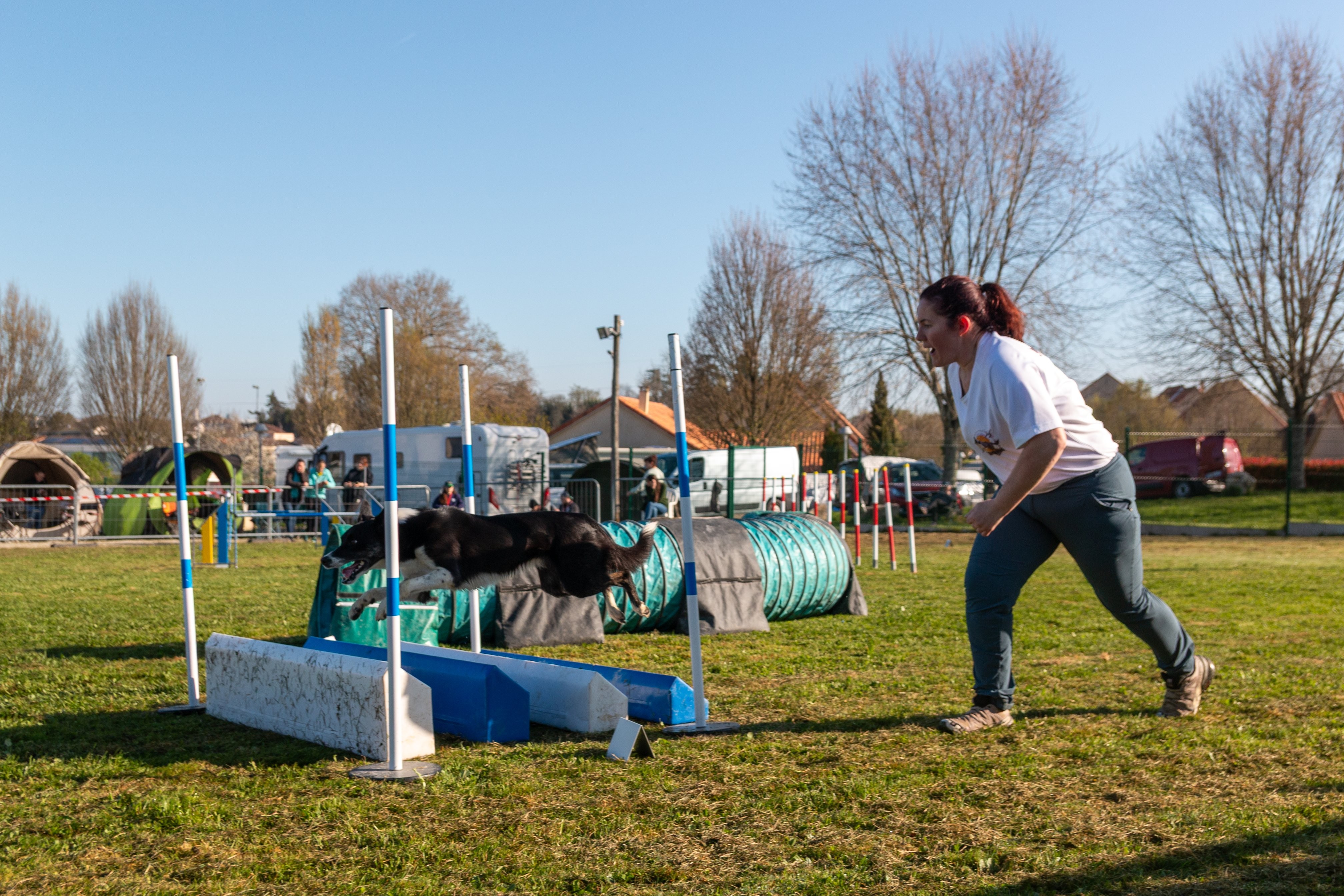 Agility grade 2 etoile 0127