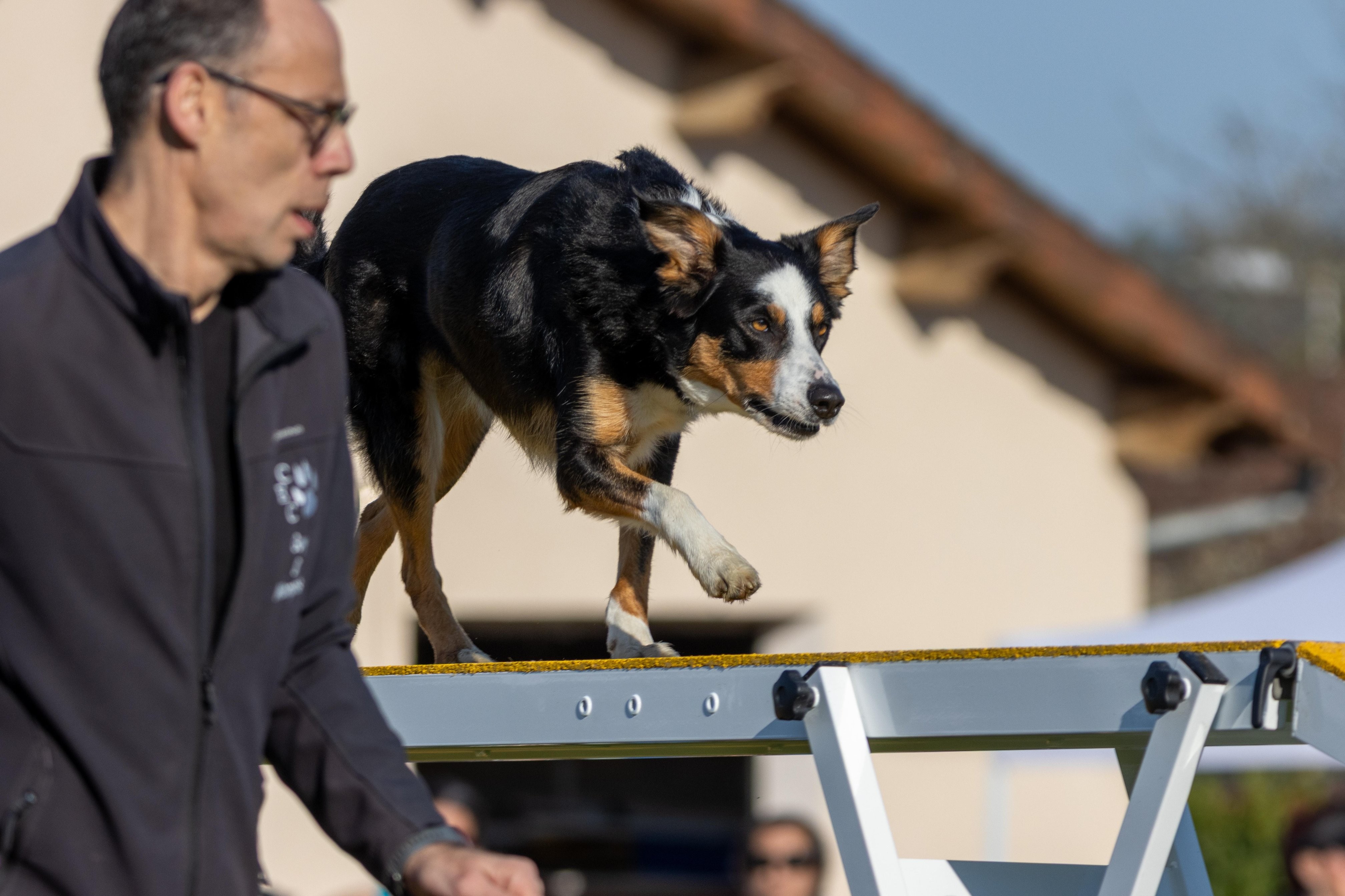 Agility grade 2 etoile 0128