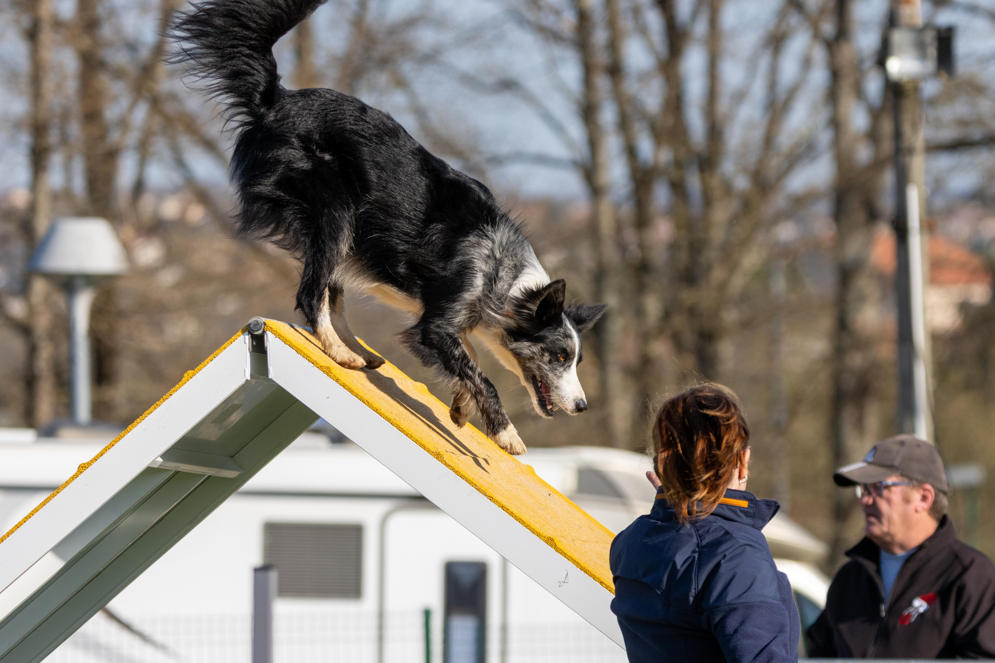 Agility grade 2 etoile 0132