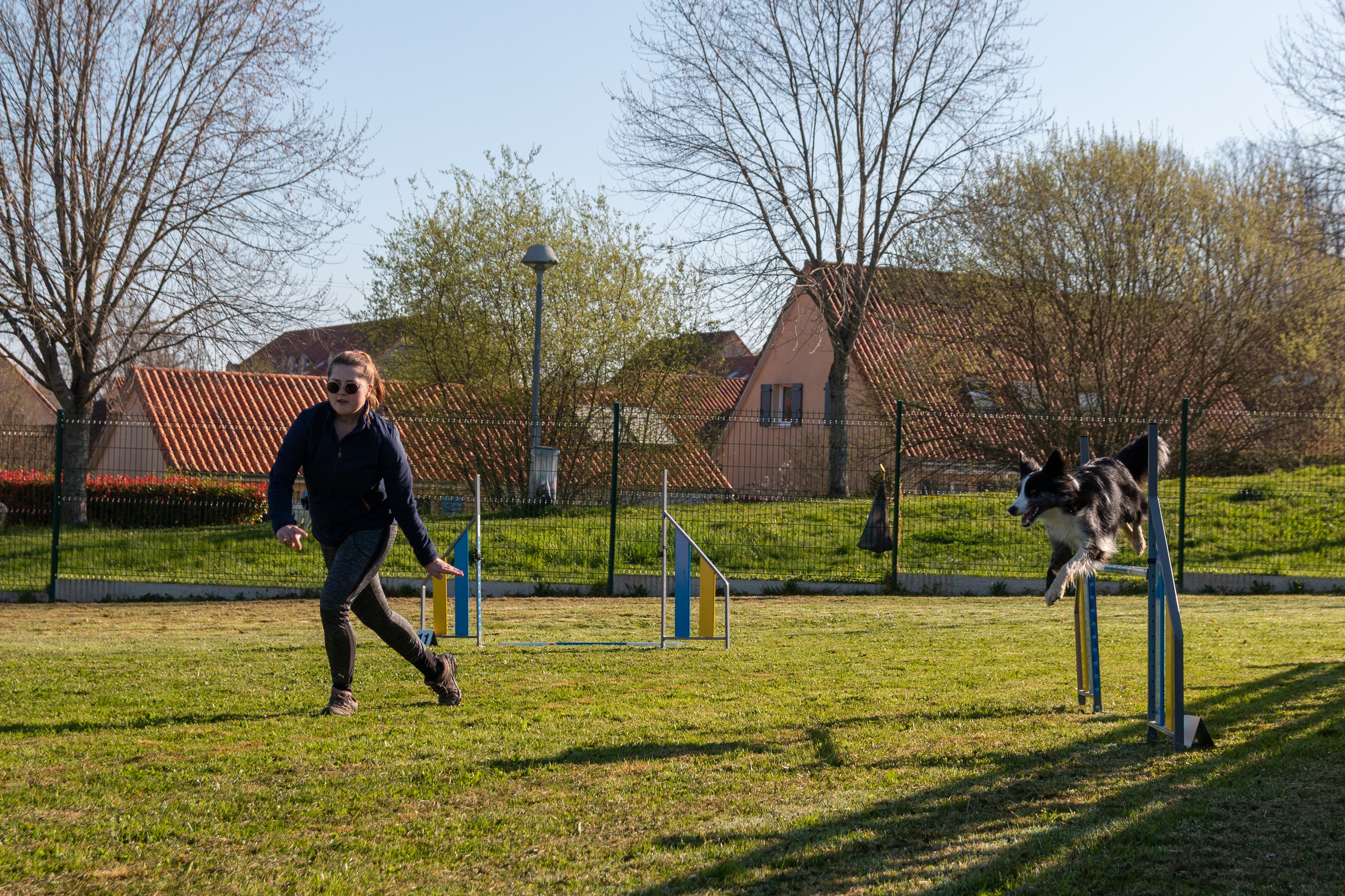 Agility grade 2 etoile 0137