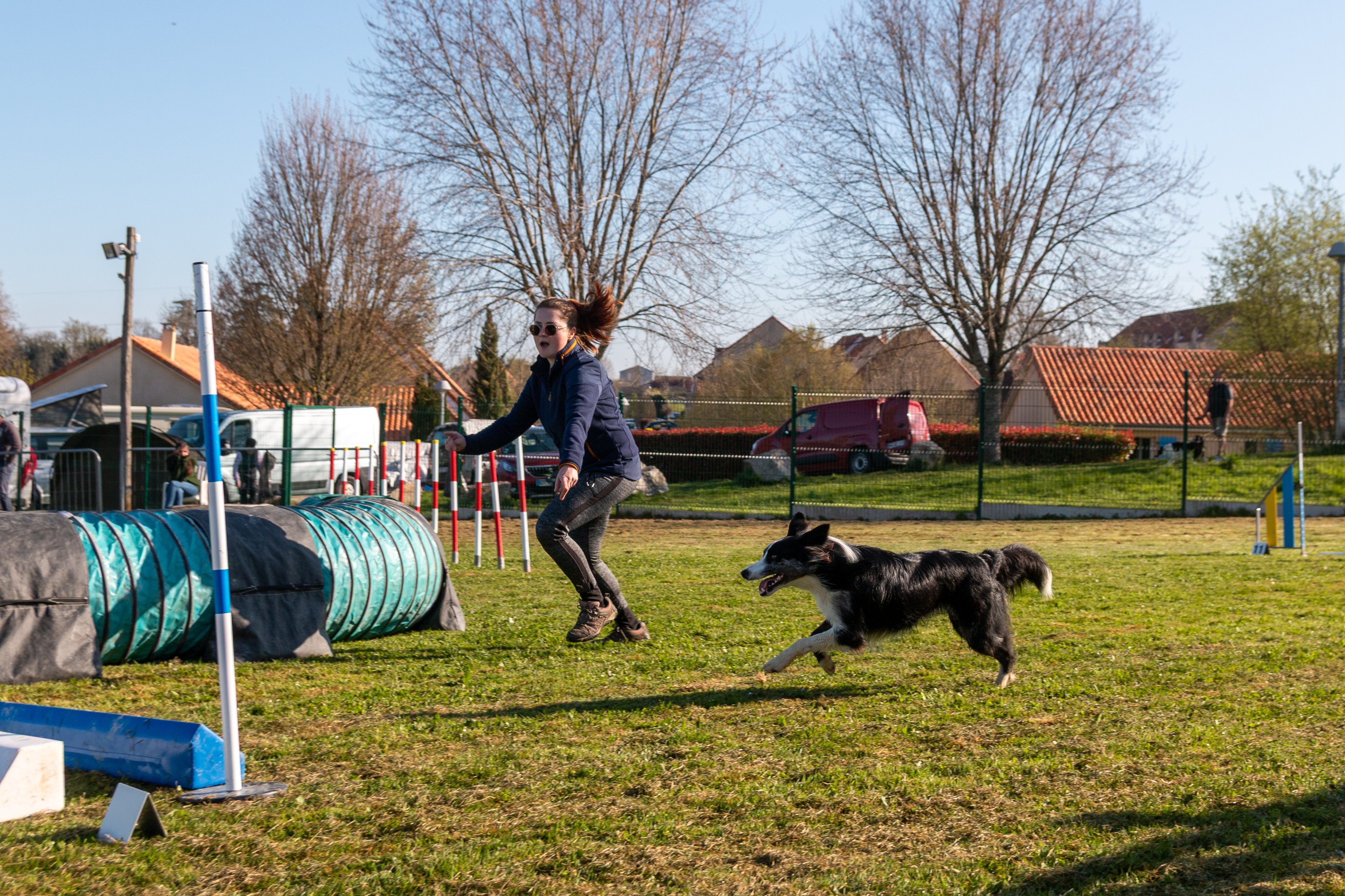 Agility grade 2 etoile 0138
