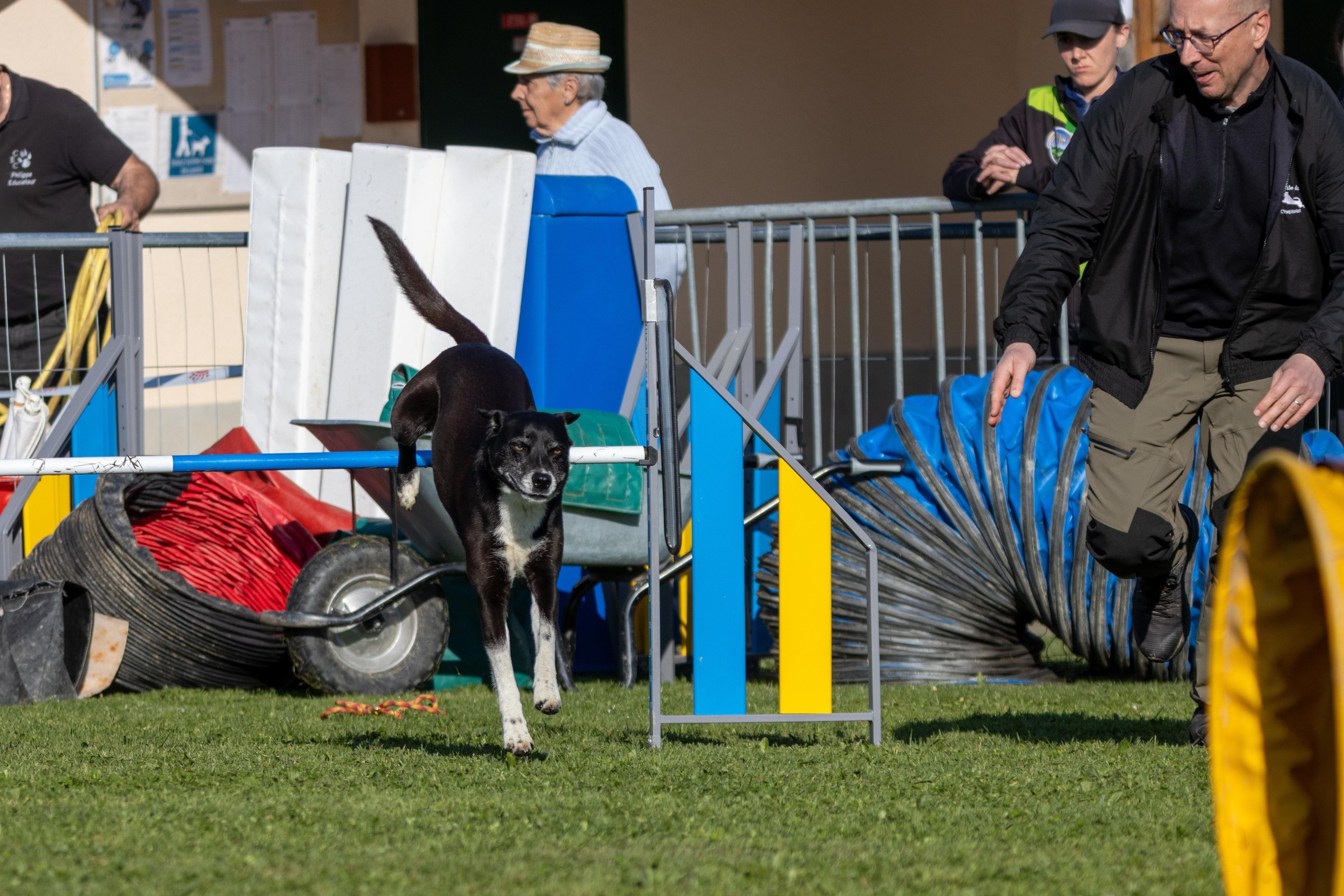 Agility grade 2 etoile 0144