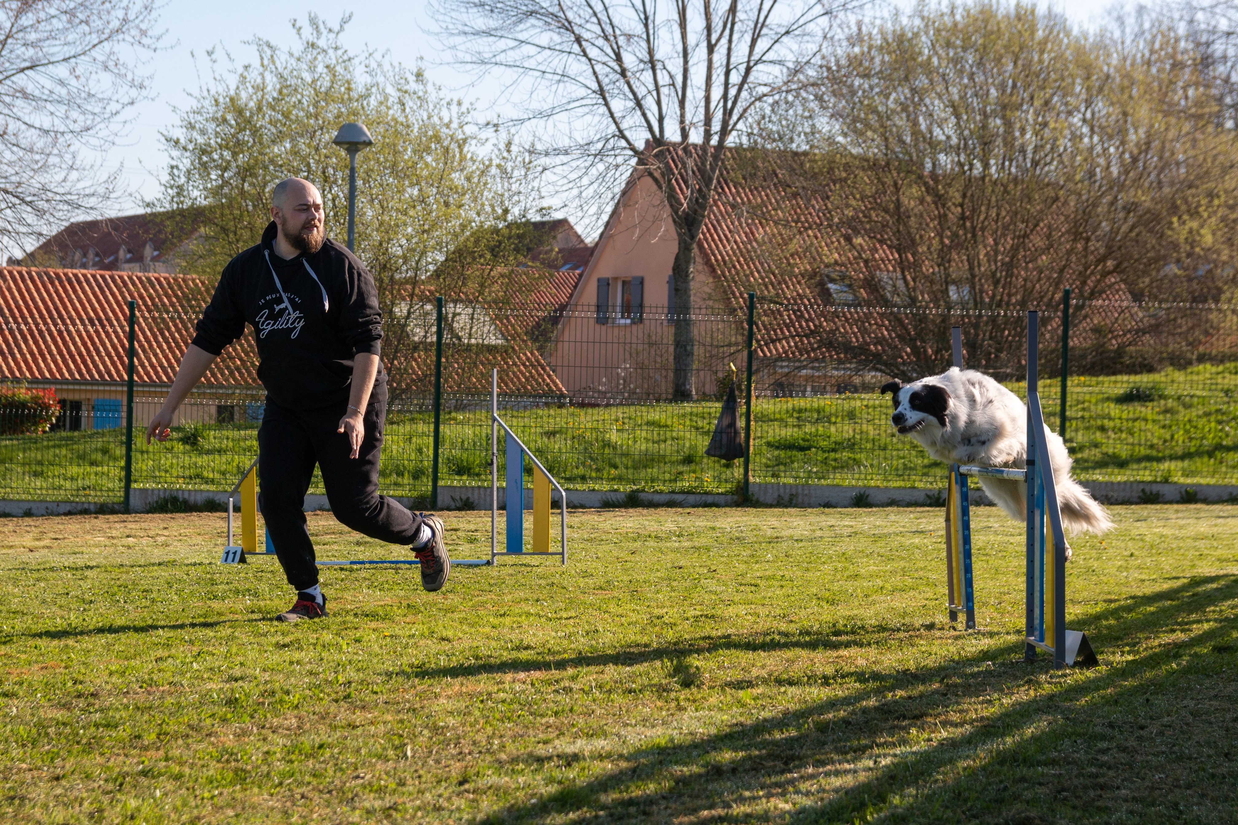 Agility grade 2 etoile 0147