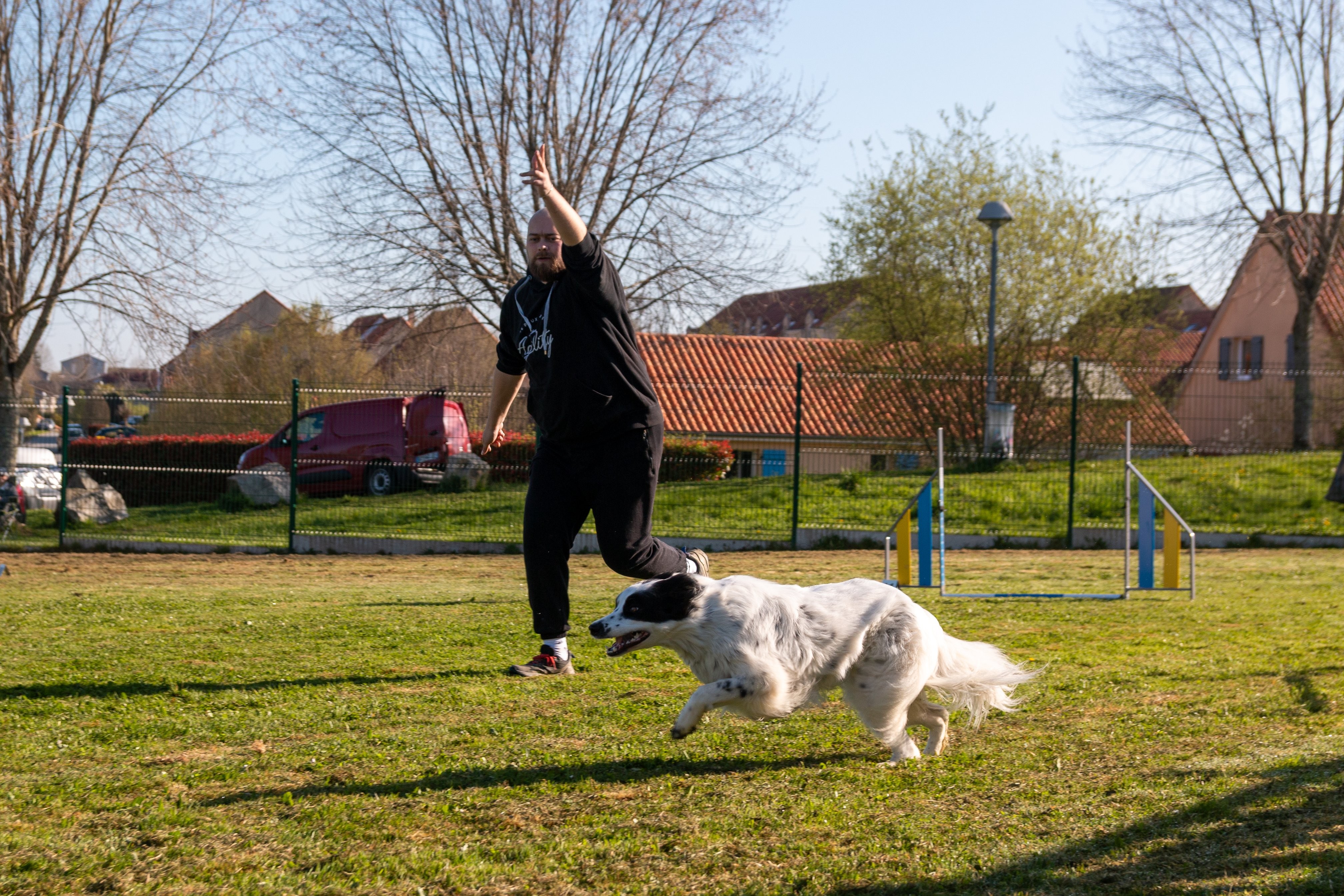 Agility grade 2 etoile 0148