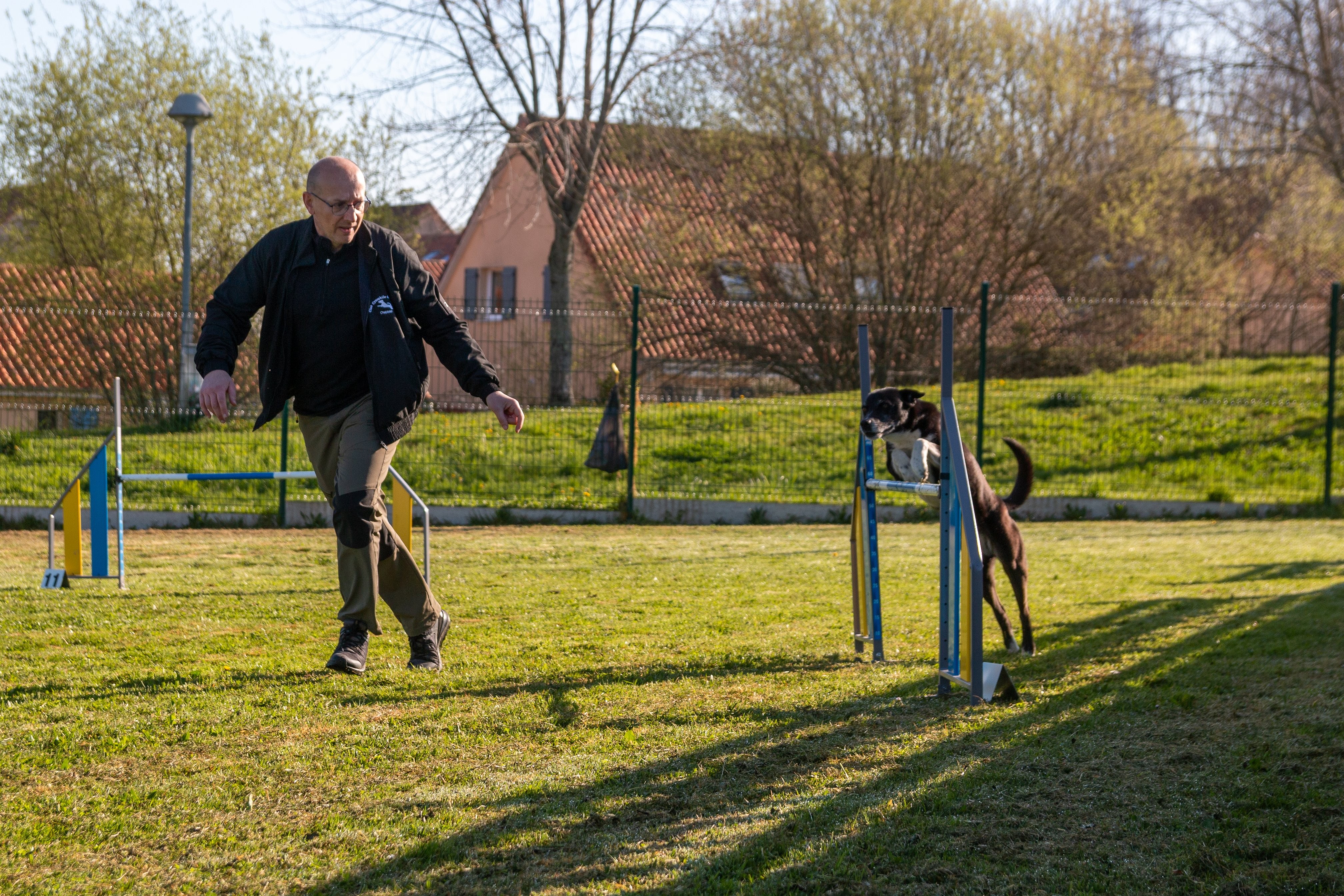 Agility grade 2 etoile 0153