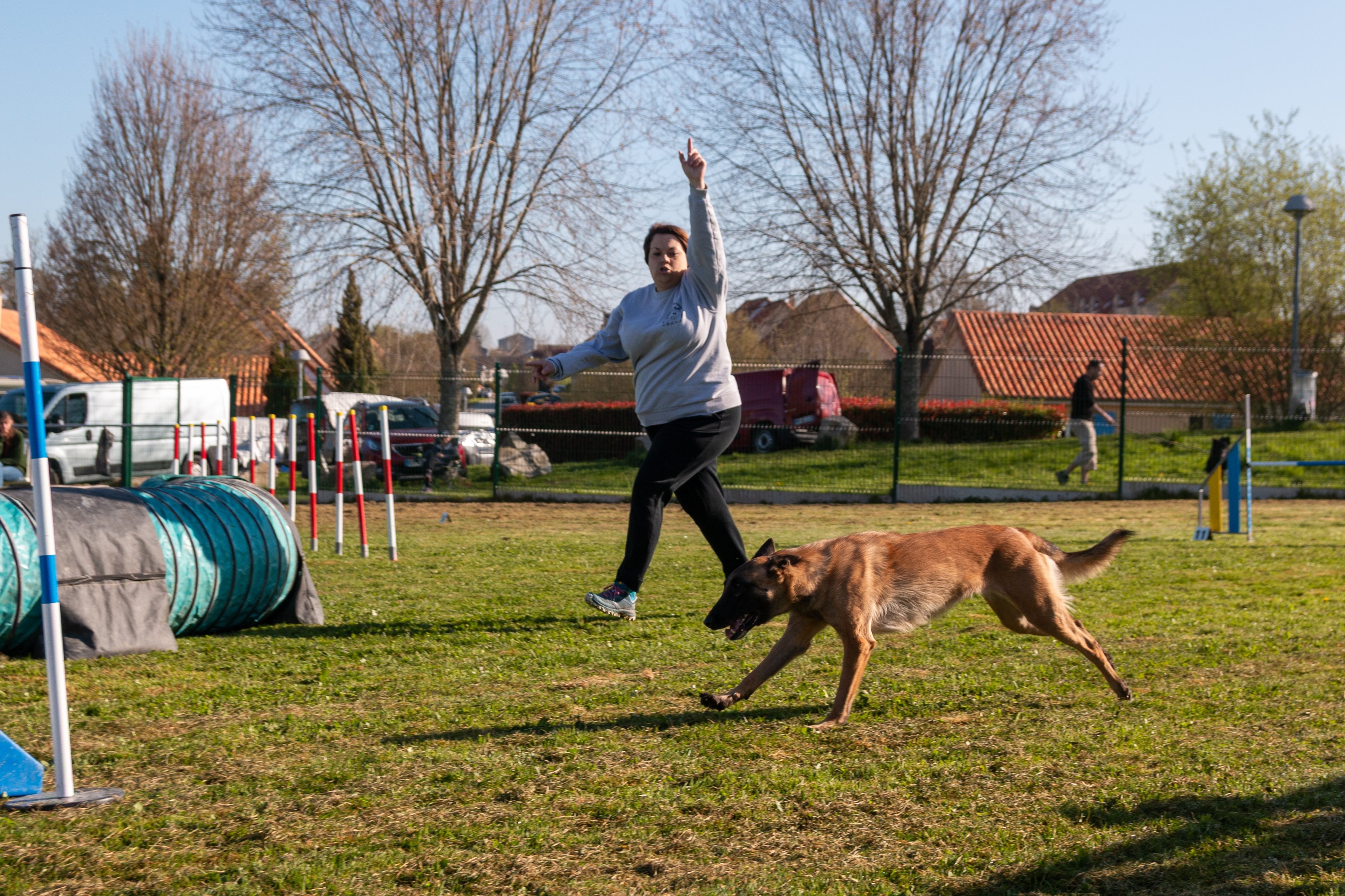 Agility grade 2 etoile 0155