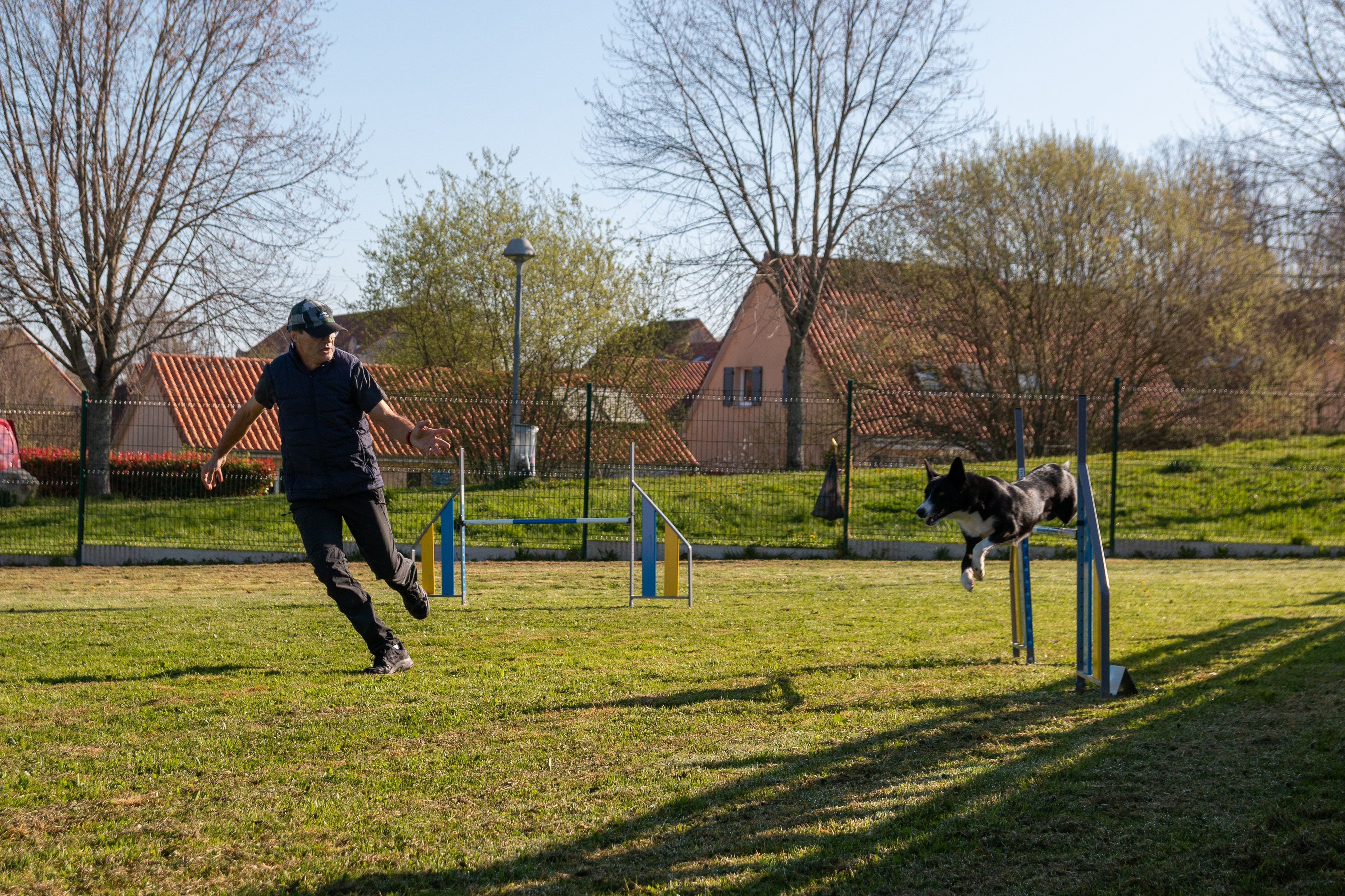 Agility grade 2 etoile 0161
