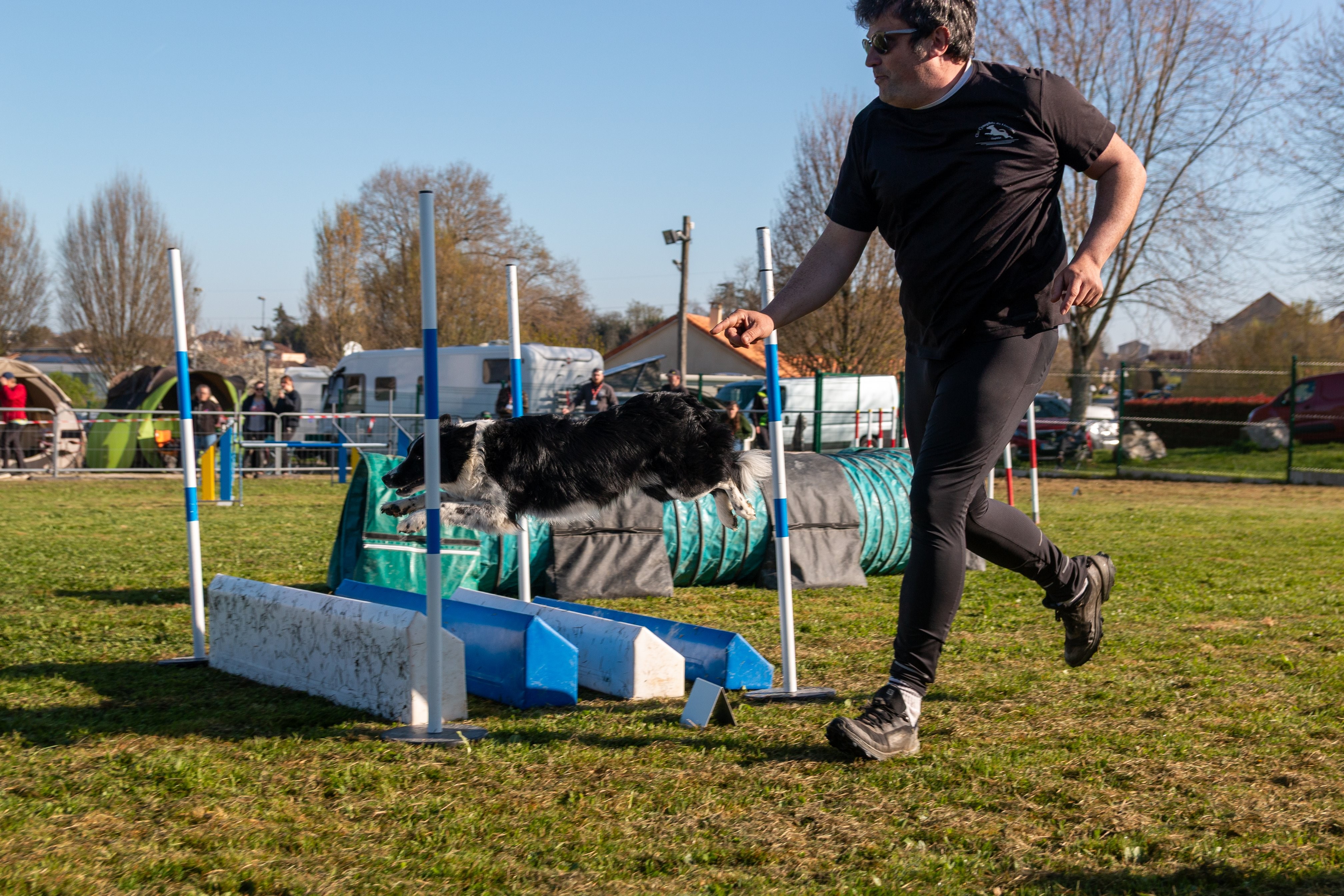 Agility grade 2 etoile 0164