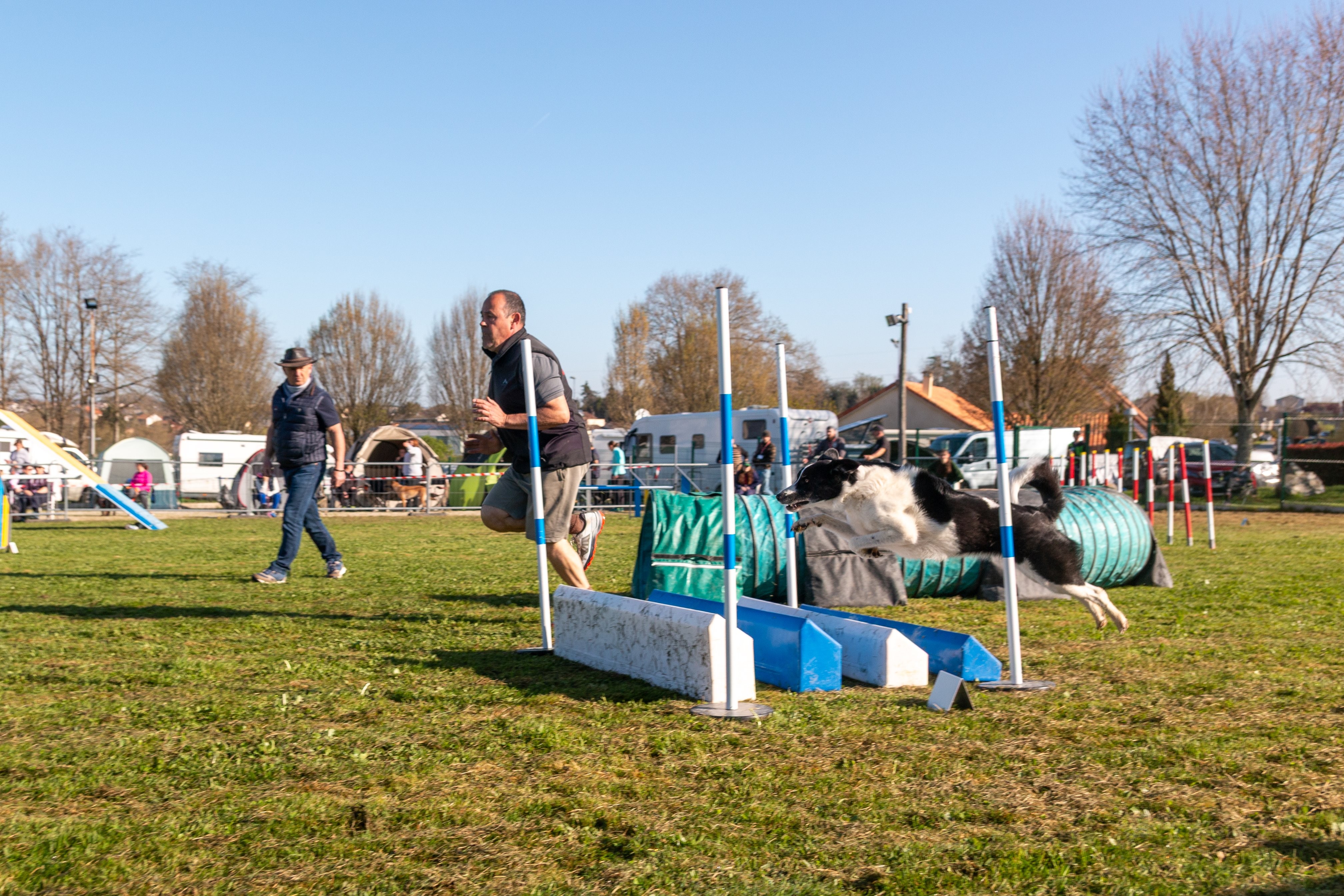 Agility grade 2 etoile 0168