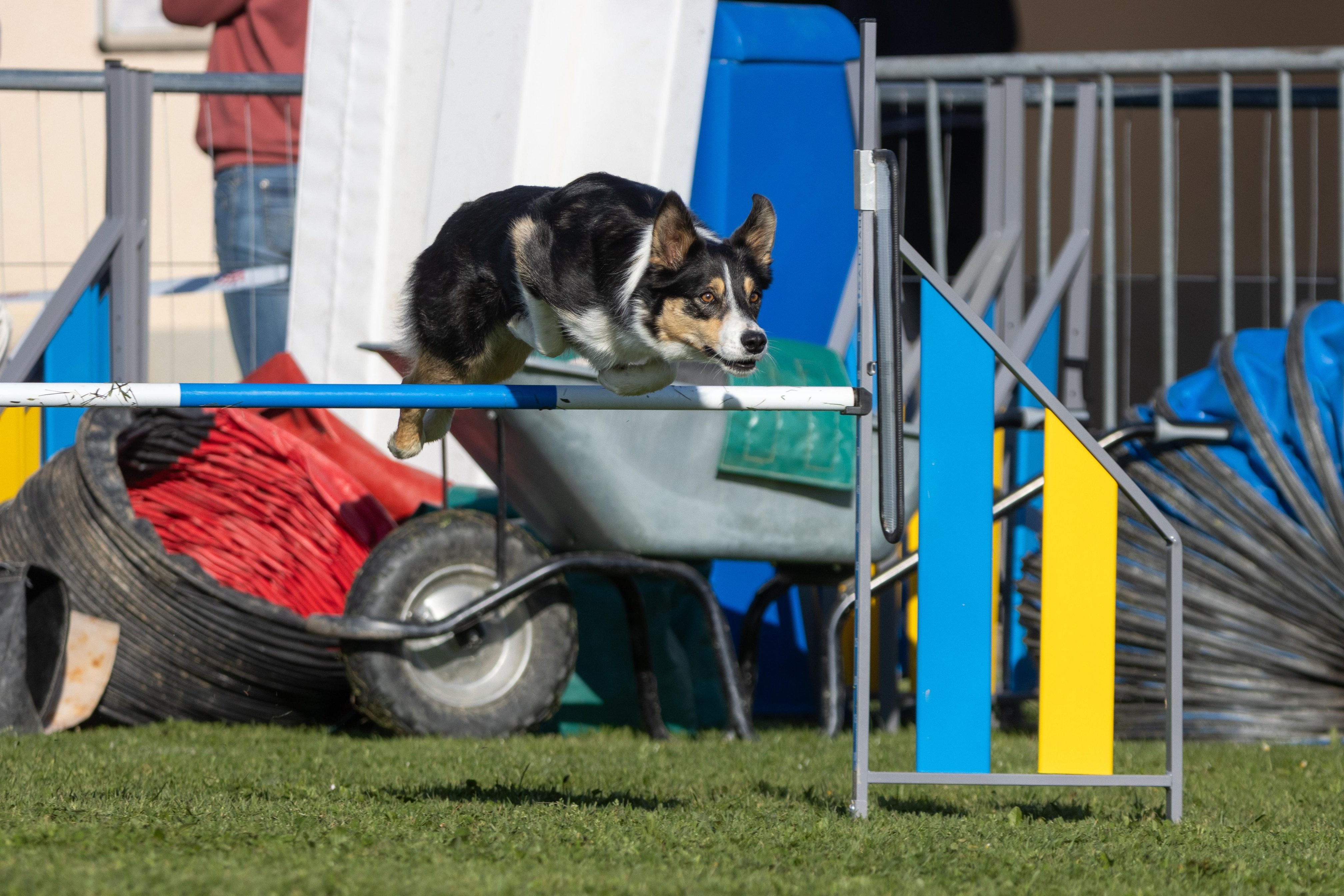 Agility grade 2 etoile 0169