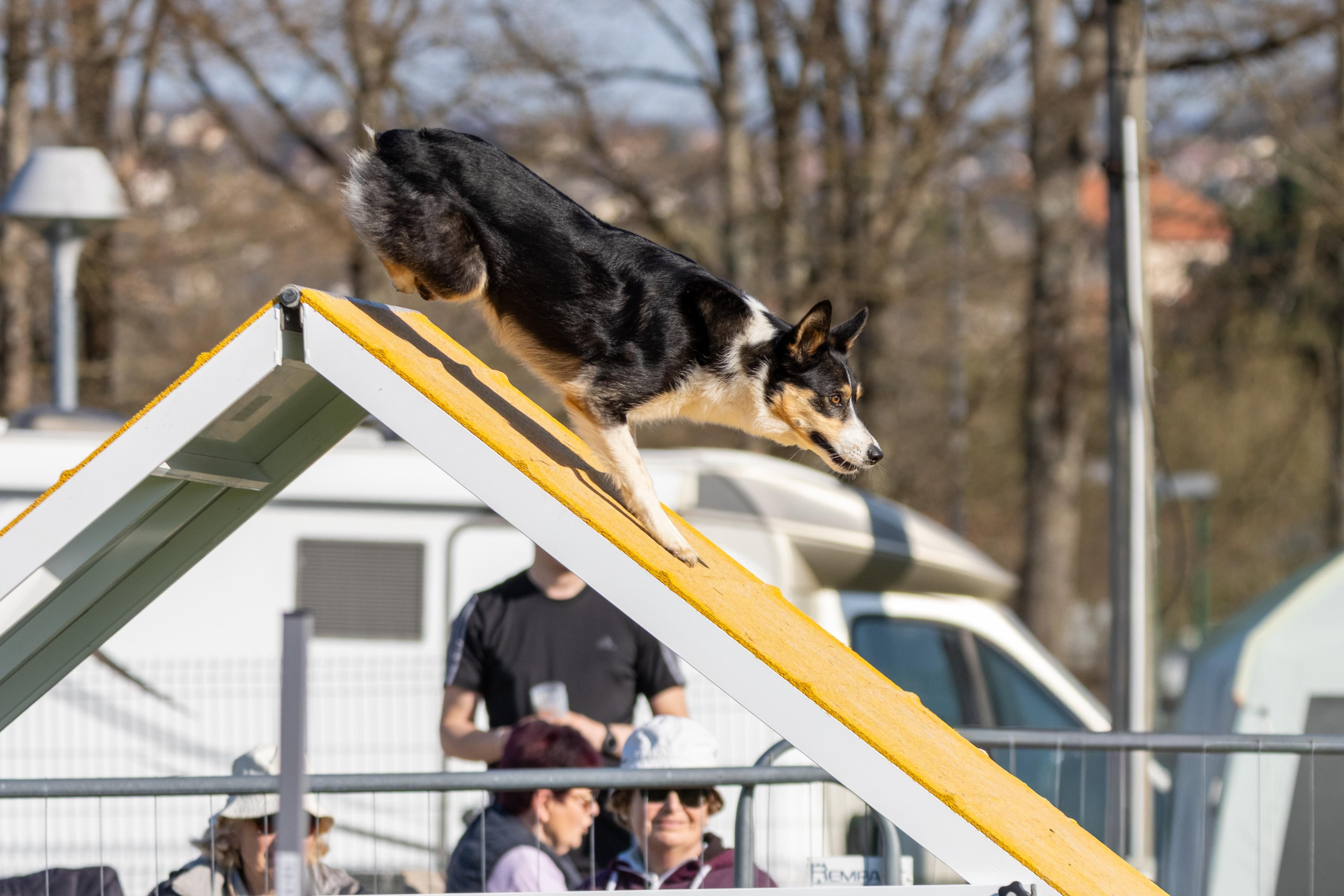 Agility grade 2 etoile 0170