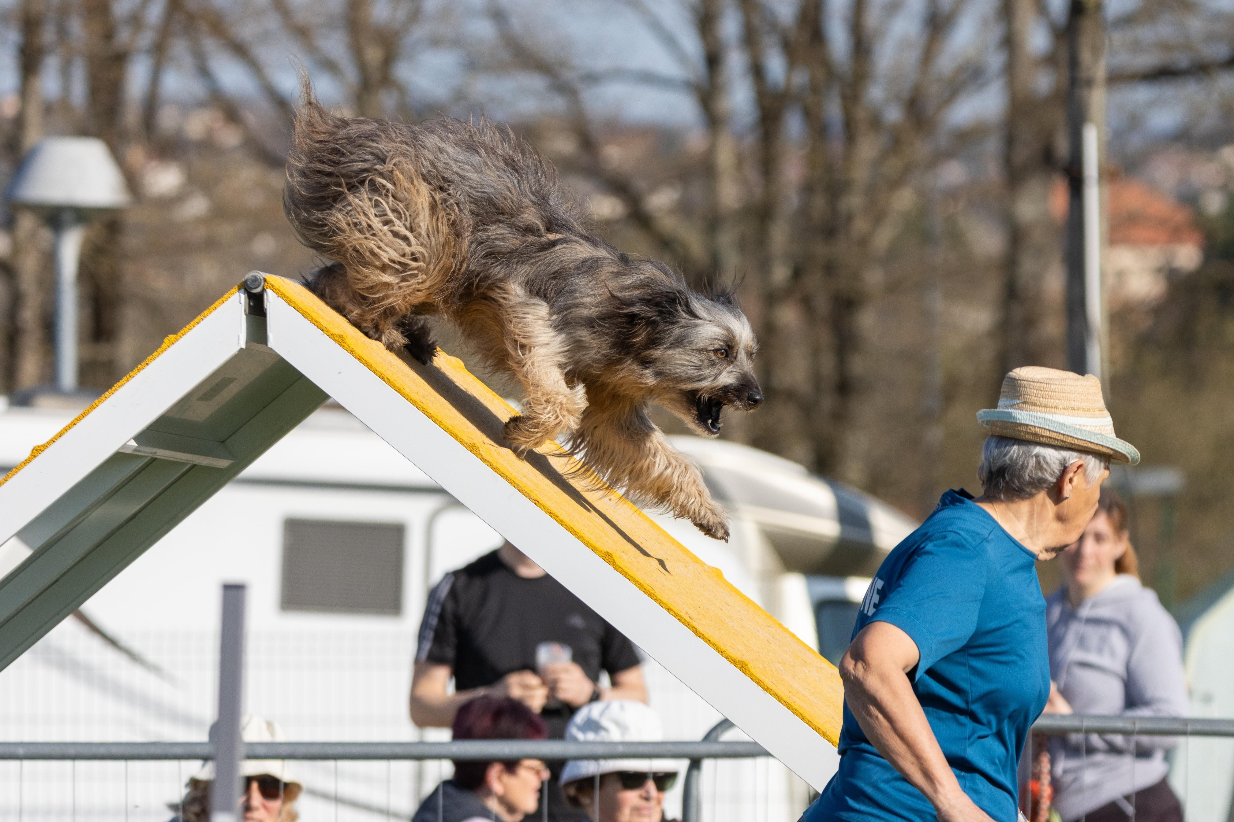 Agility grade 2 etoile 0175