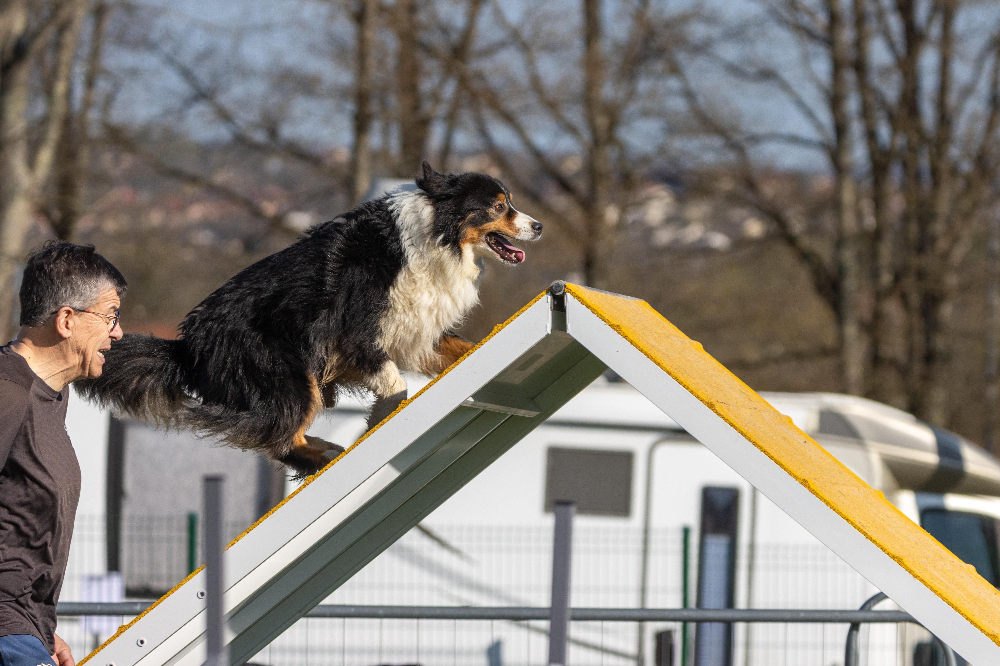 Agility grade 2 etoile 0178