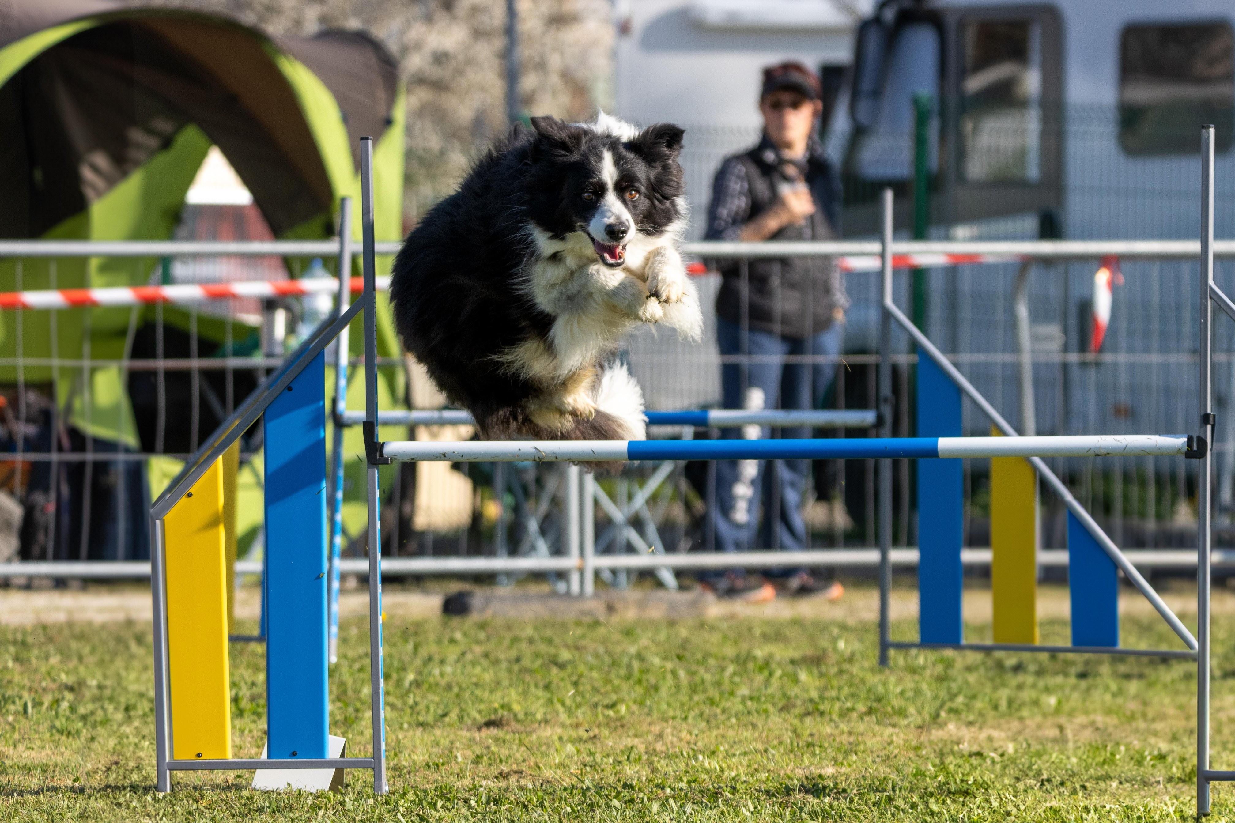 Agility grade 2 etoile 0181